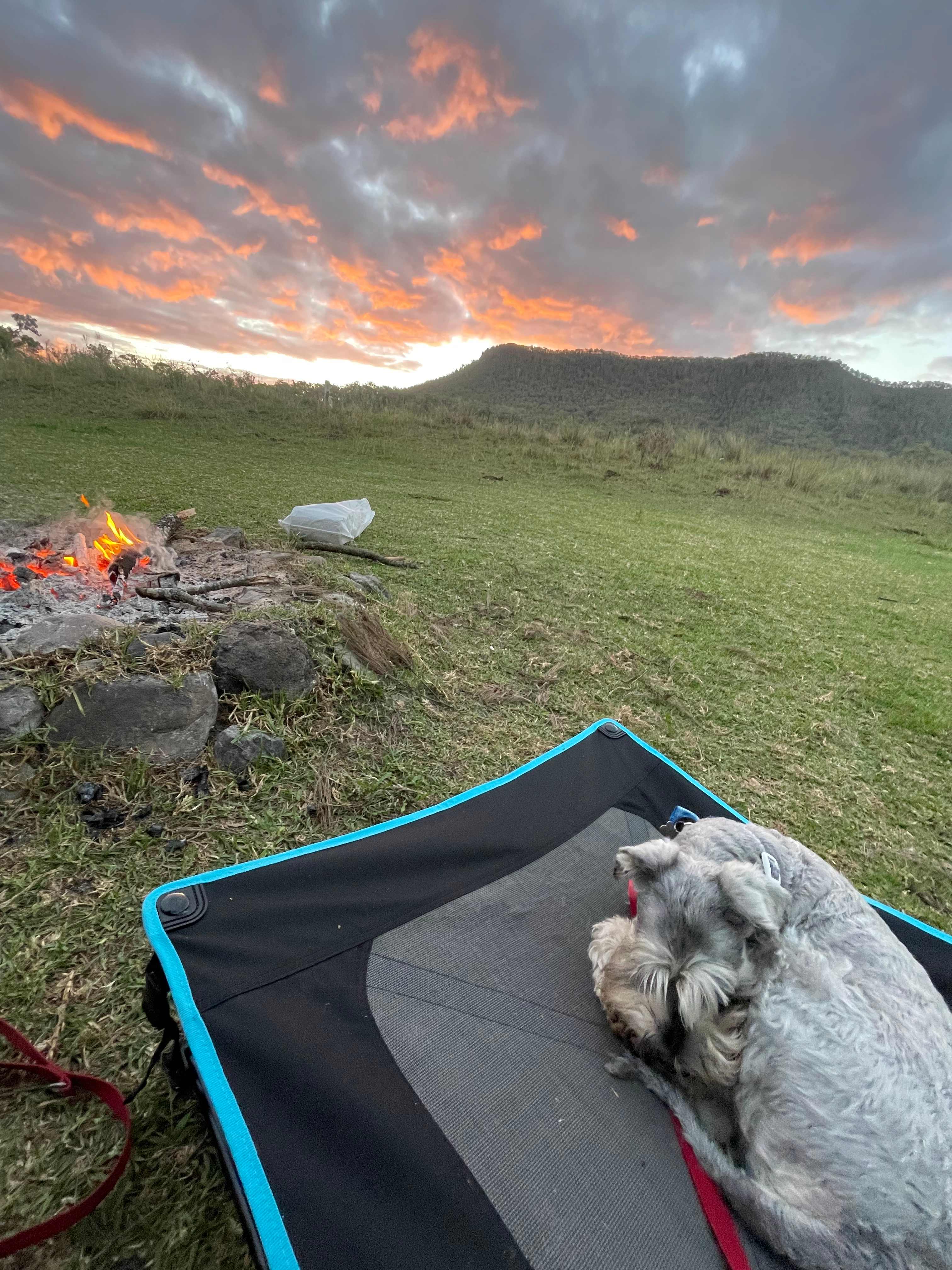 Gleneden Farm - Heritage Produce
