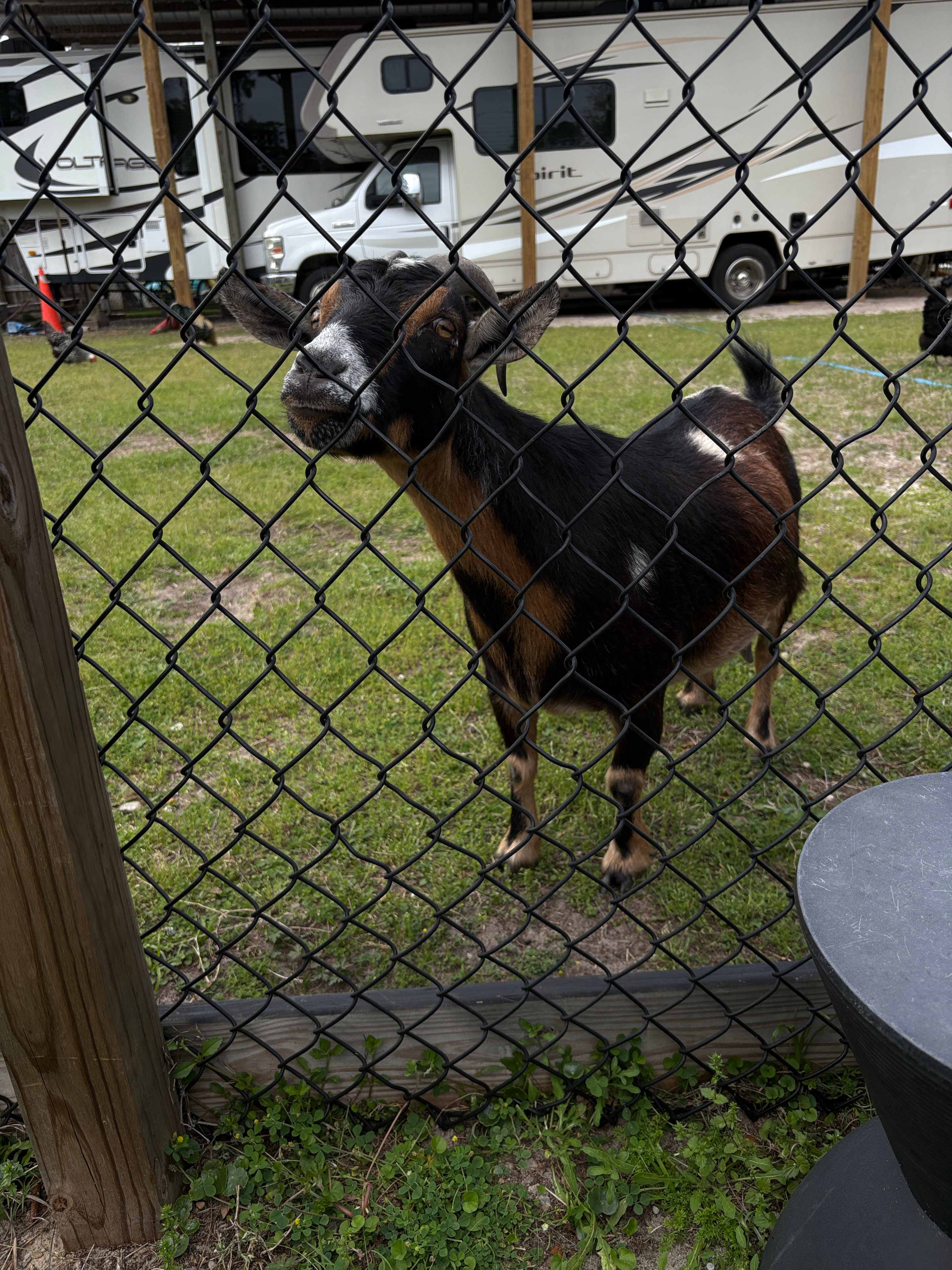 Country Camping At The Beach