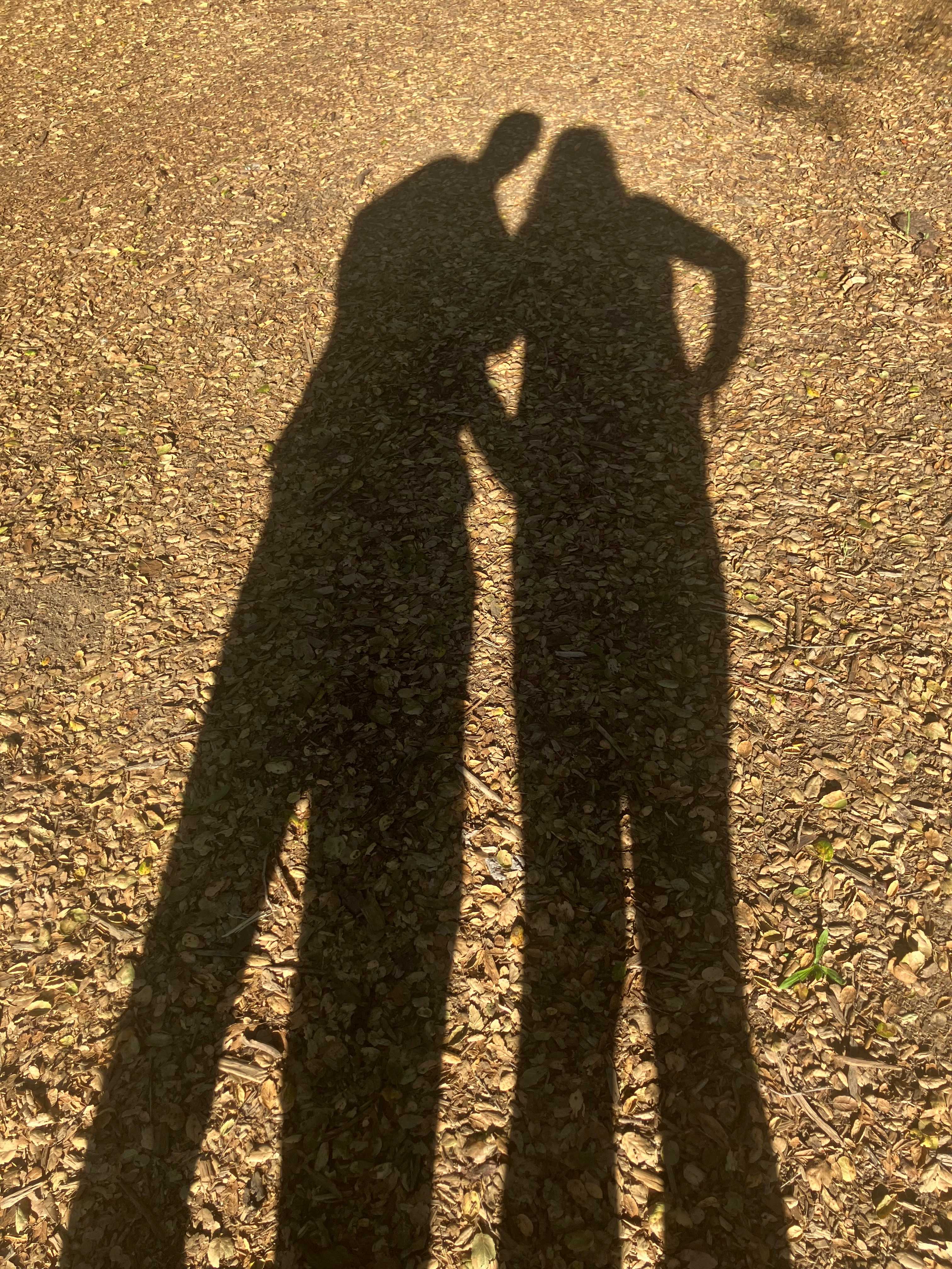 Felton Open Space Camp Sites