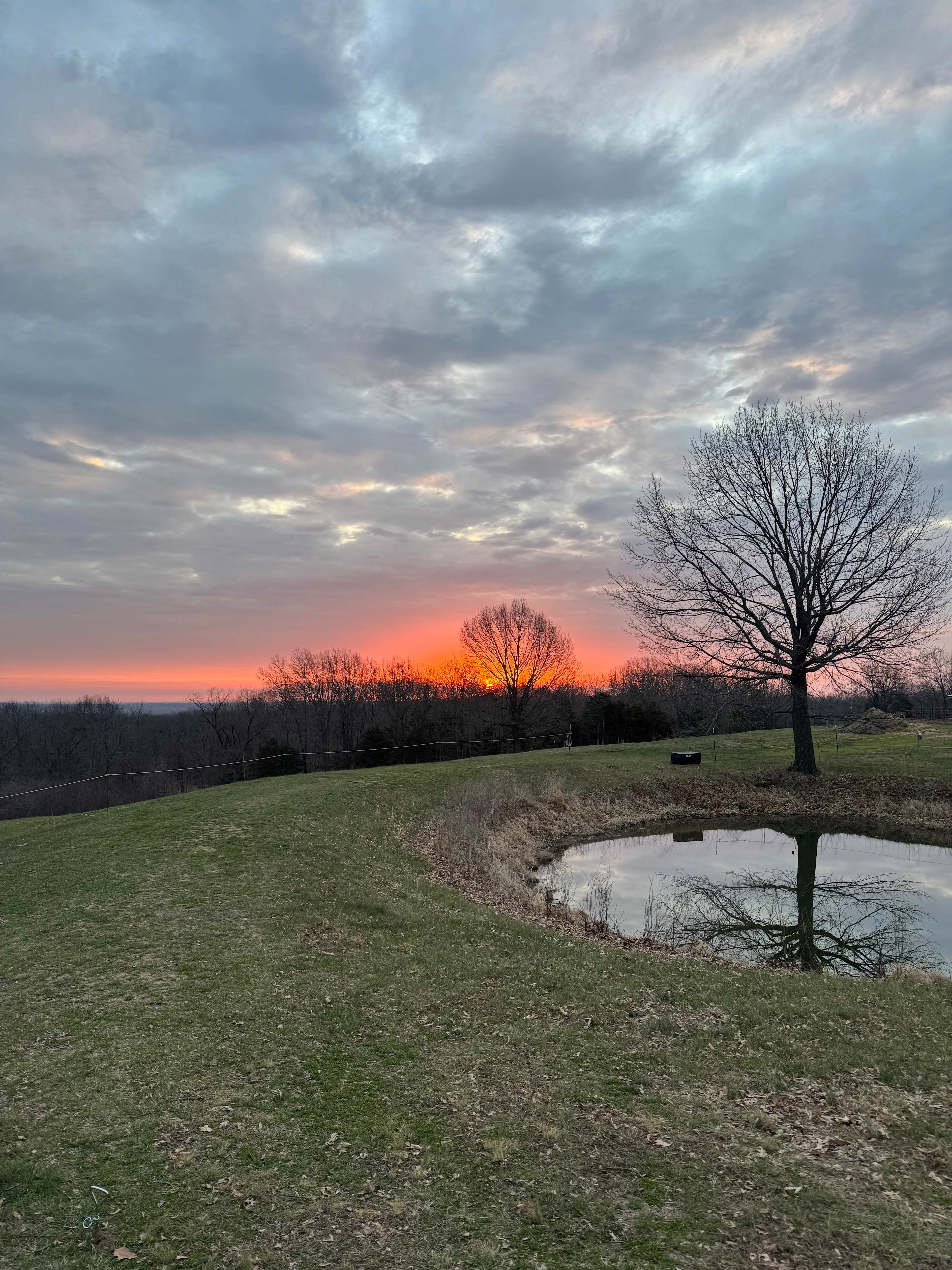 Selby Horse Farm Camping