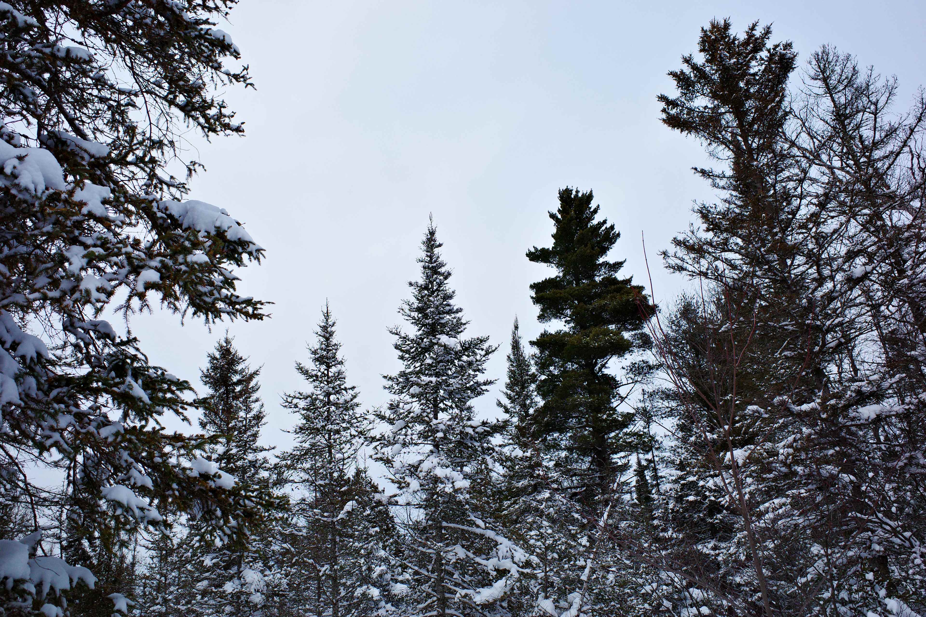 EcoXtreme Adventure Destination