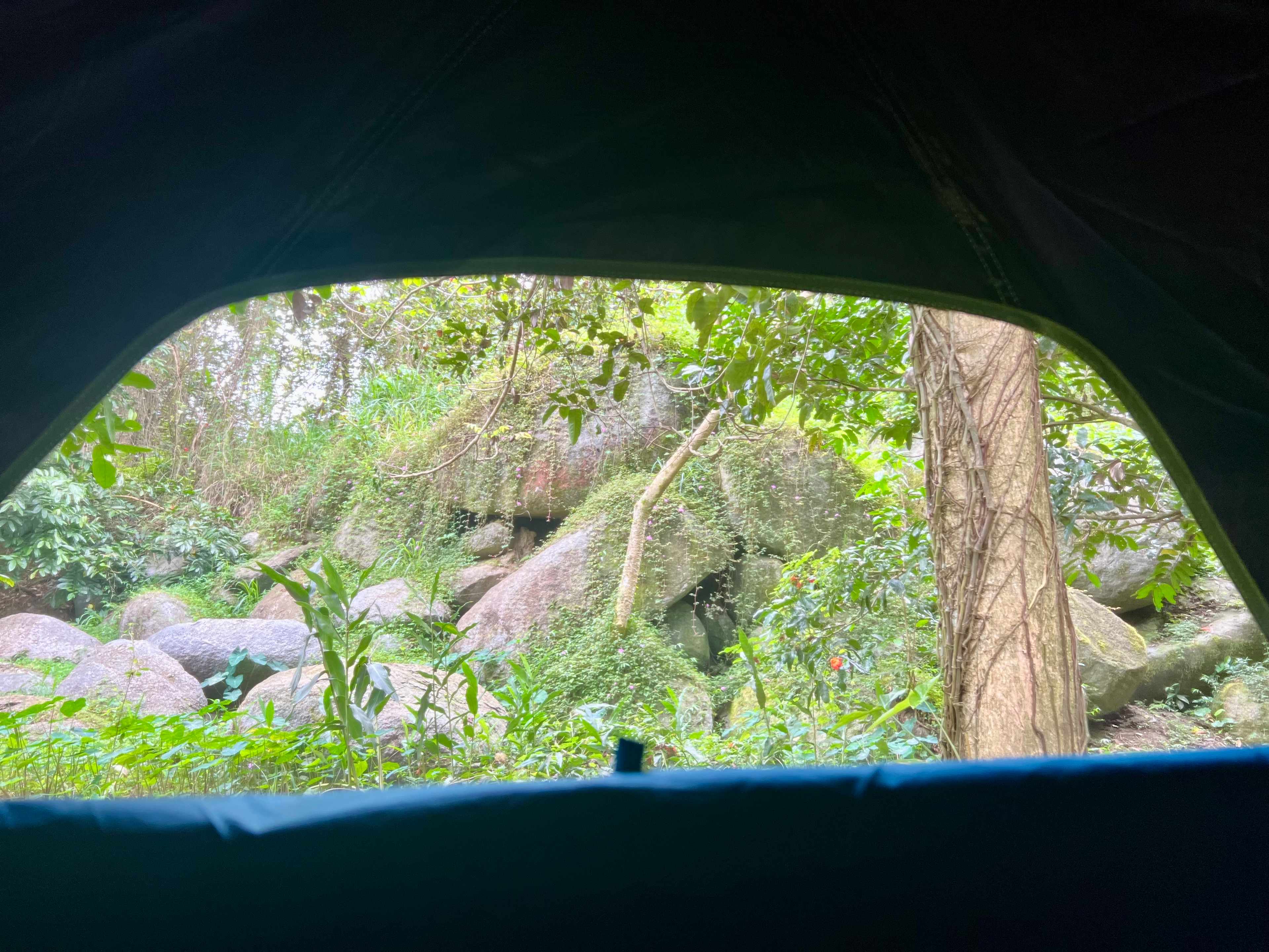 View from my window 🥰 