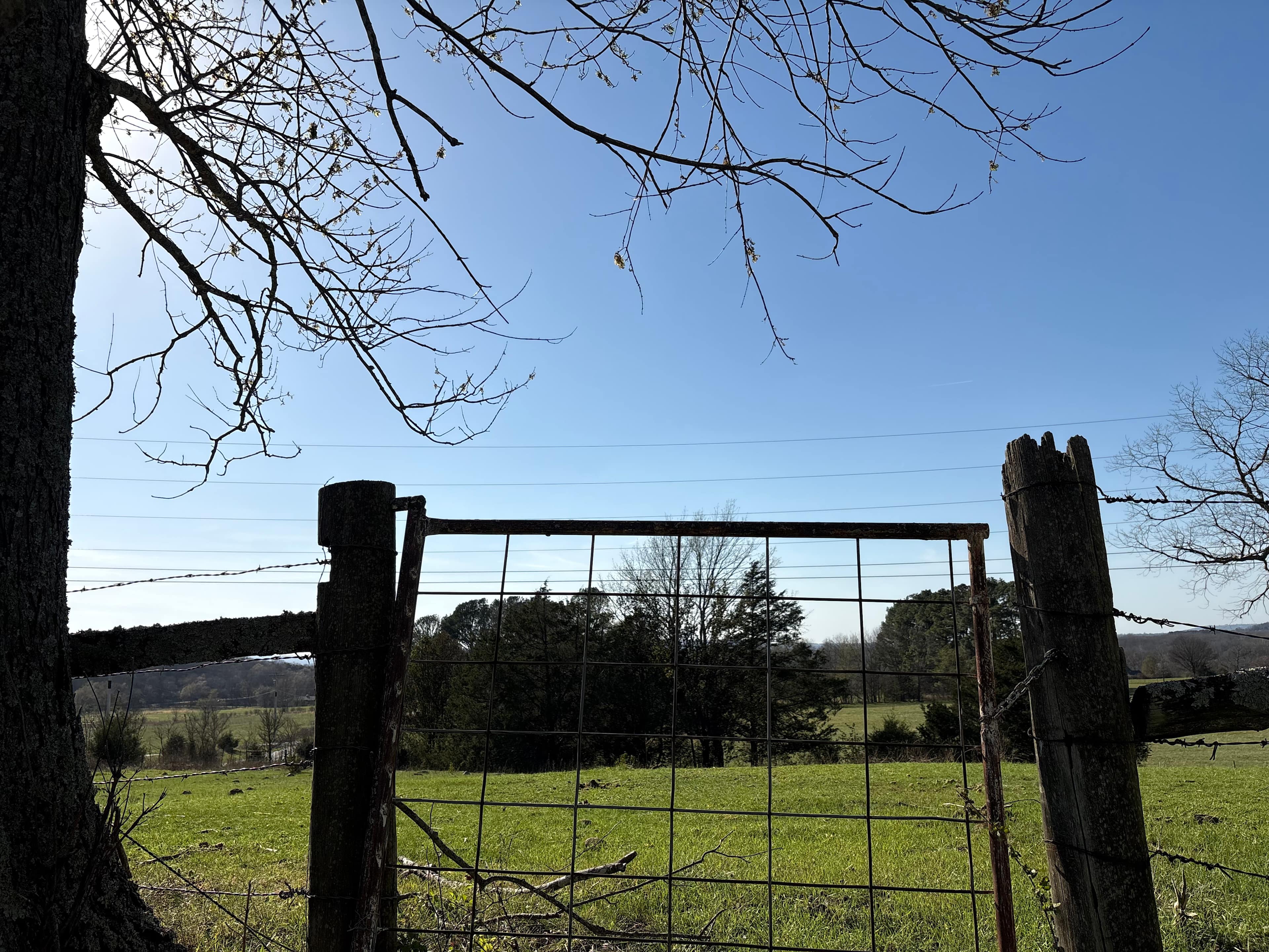 Ferguson Farms