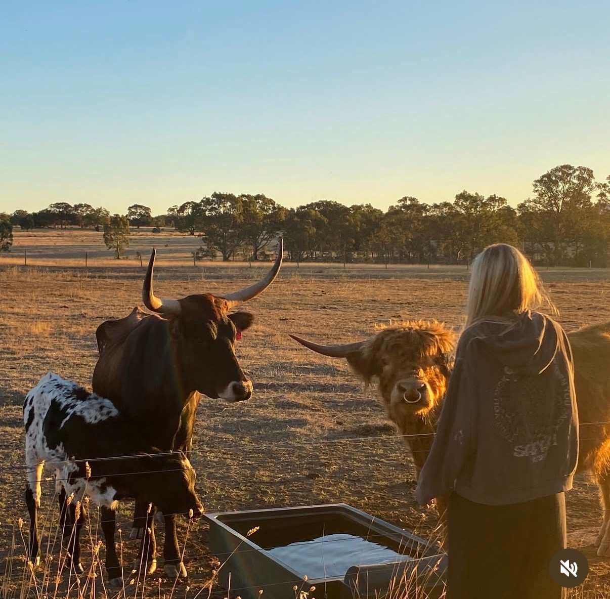 BellMill Farm - Grampians Highlands