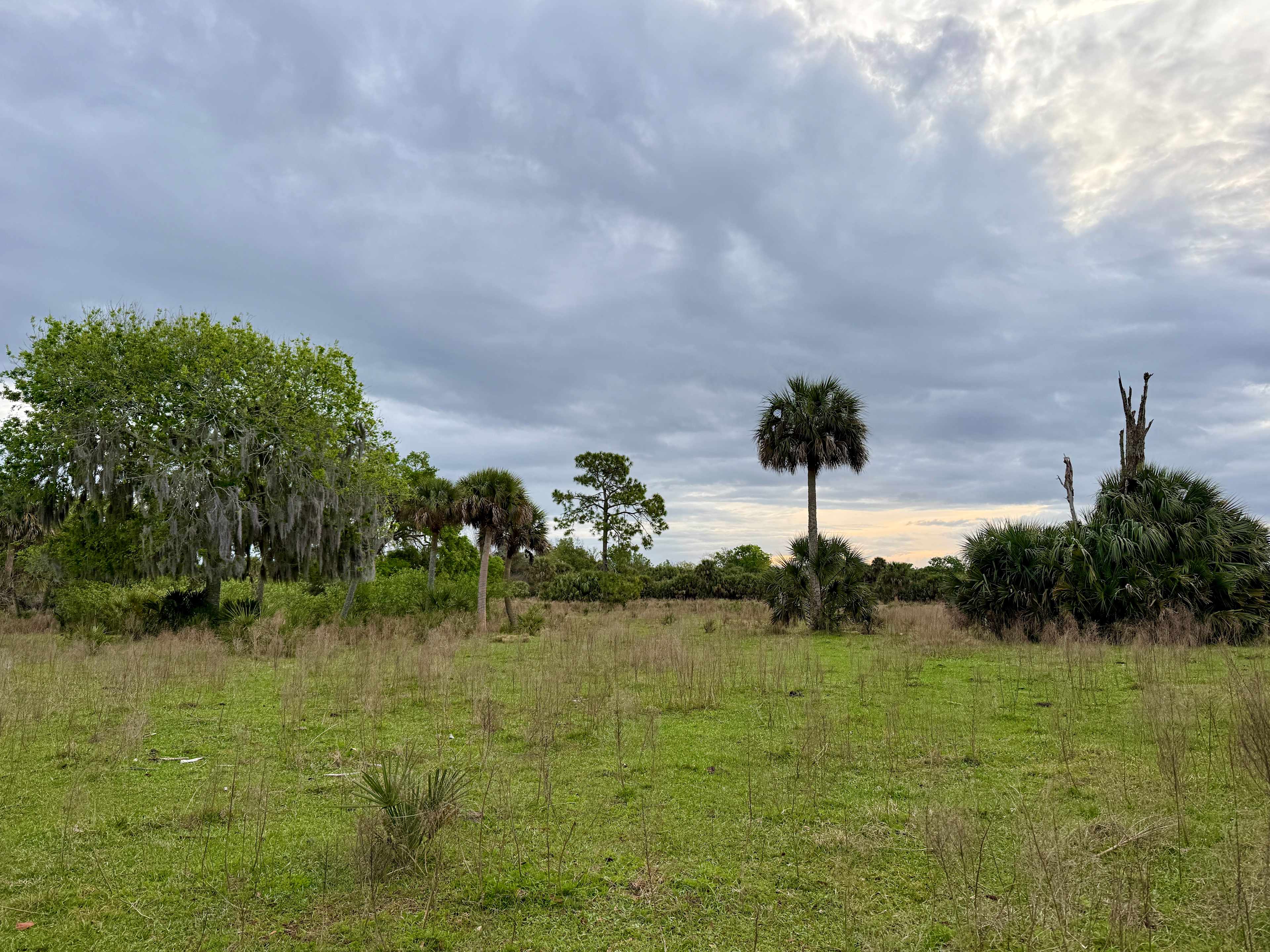 Hammock Road Indian River Camp