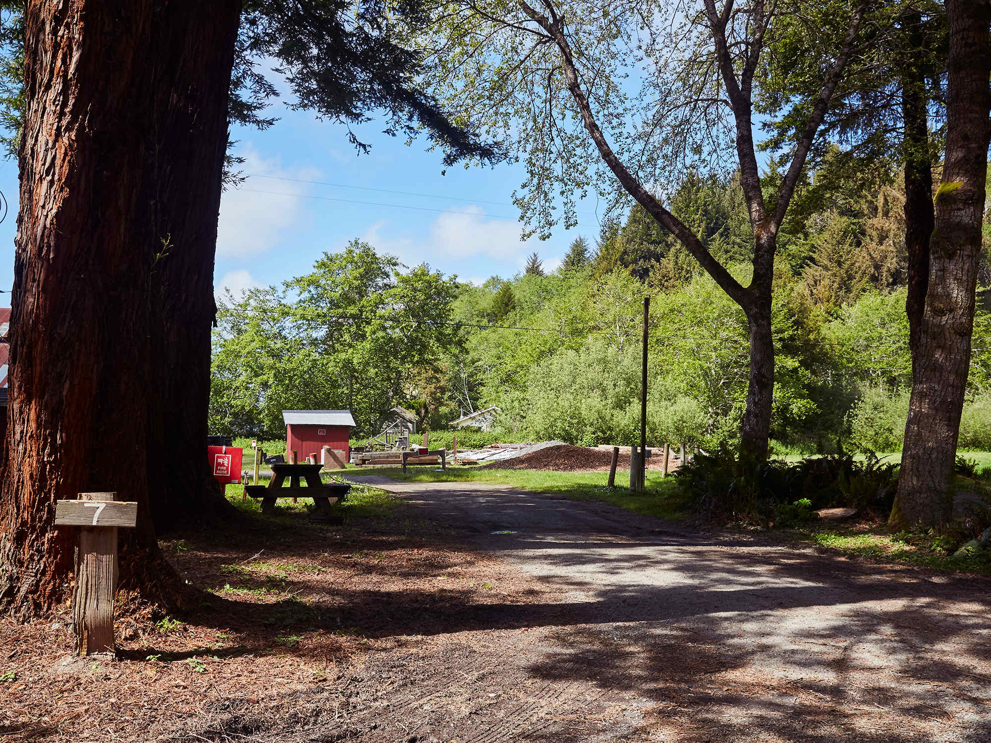 Picture of the site