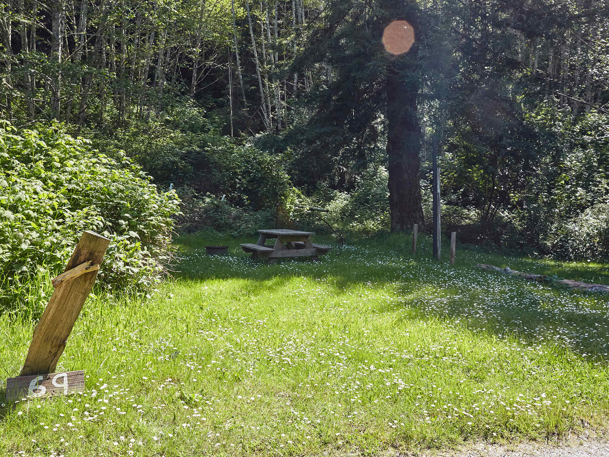 Picture of the site