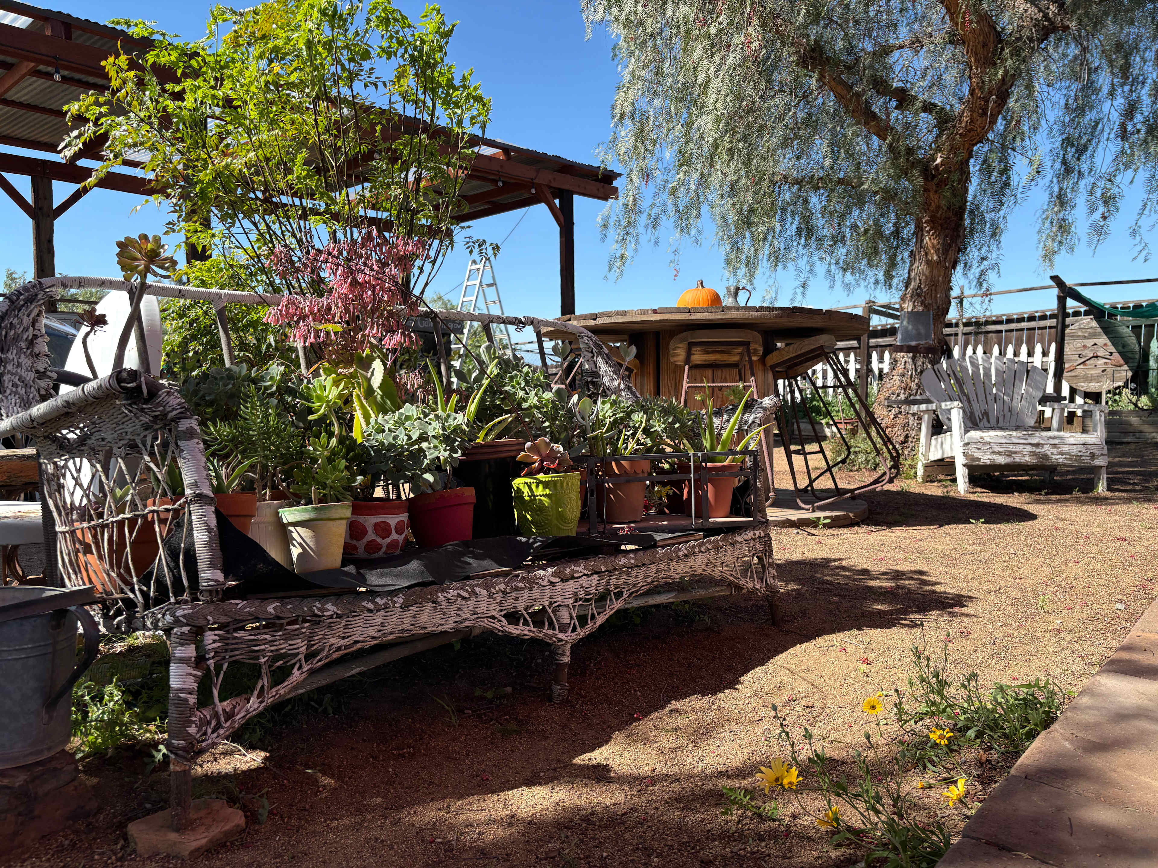 Zen Ranch And Retreat