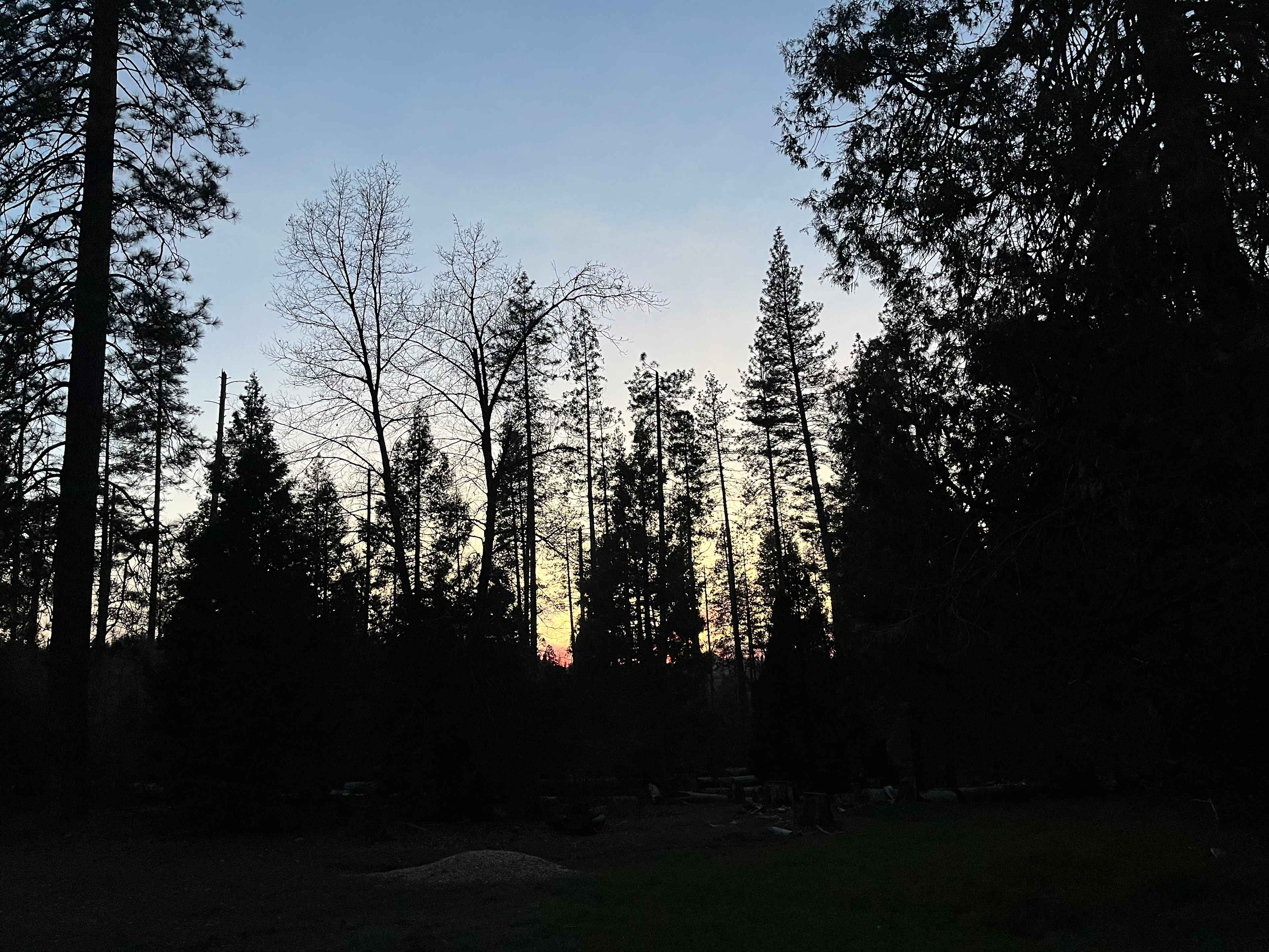 Tiny House Village Yosemite