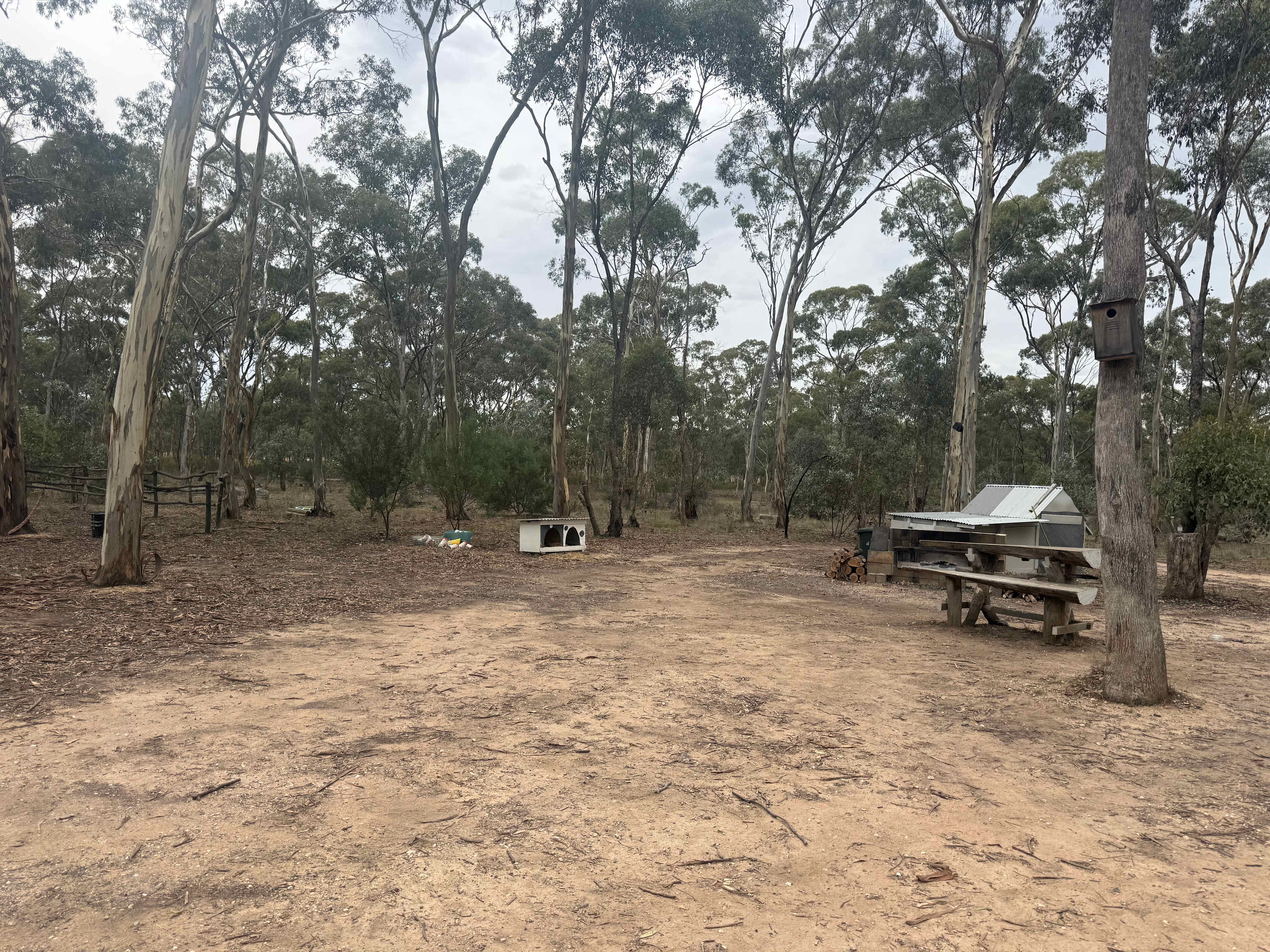 Lovely Bush Property