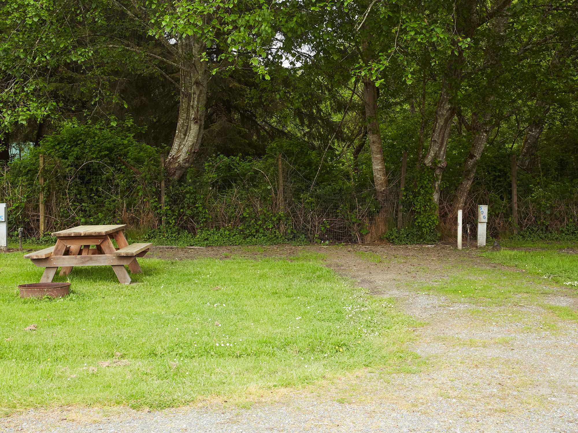 Picture of the site