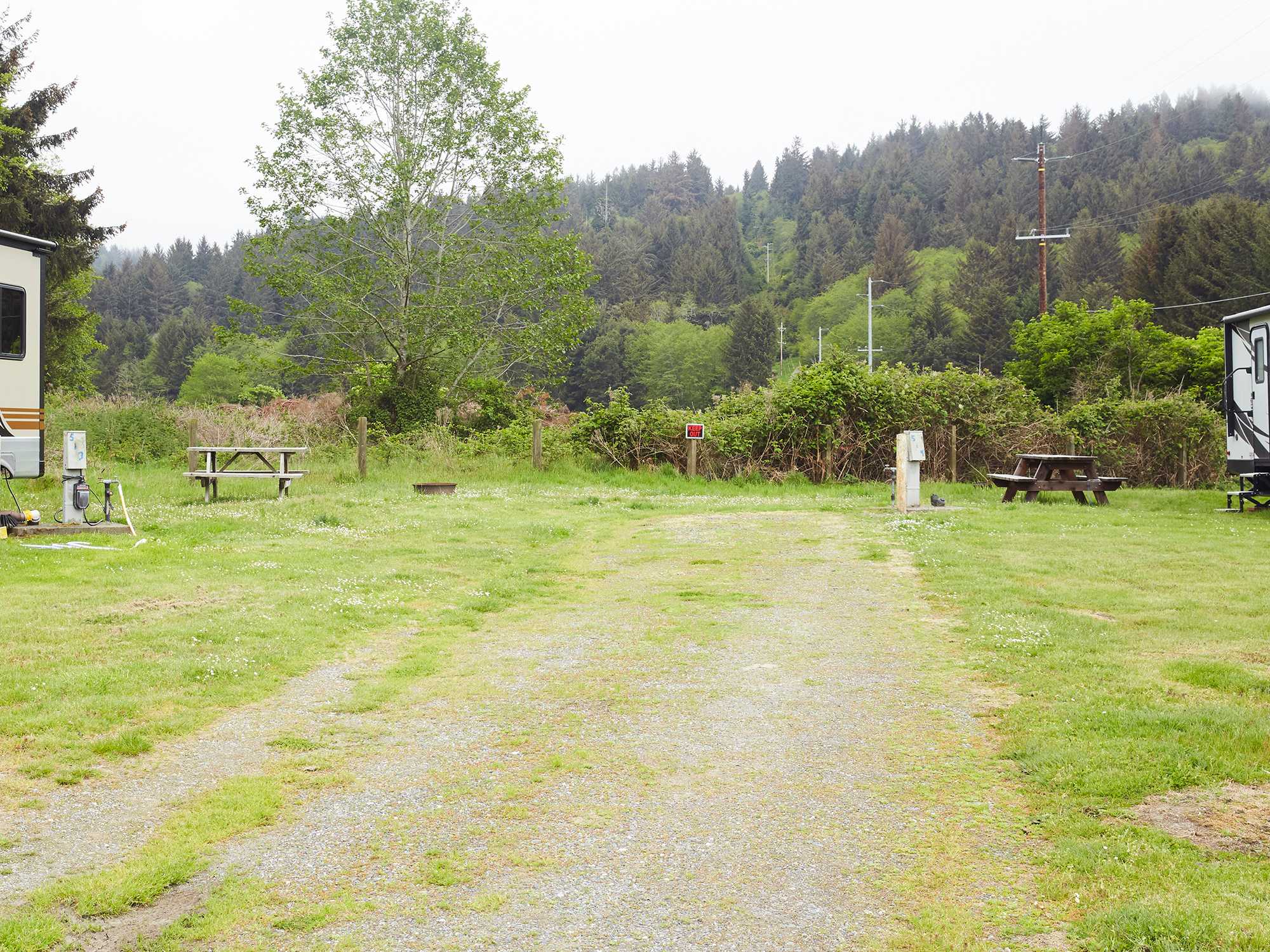 Picture of the site