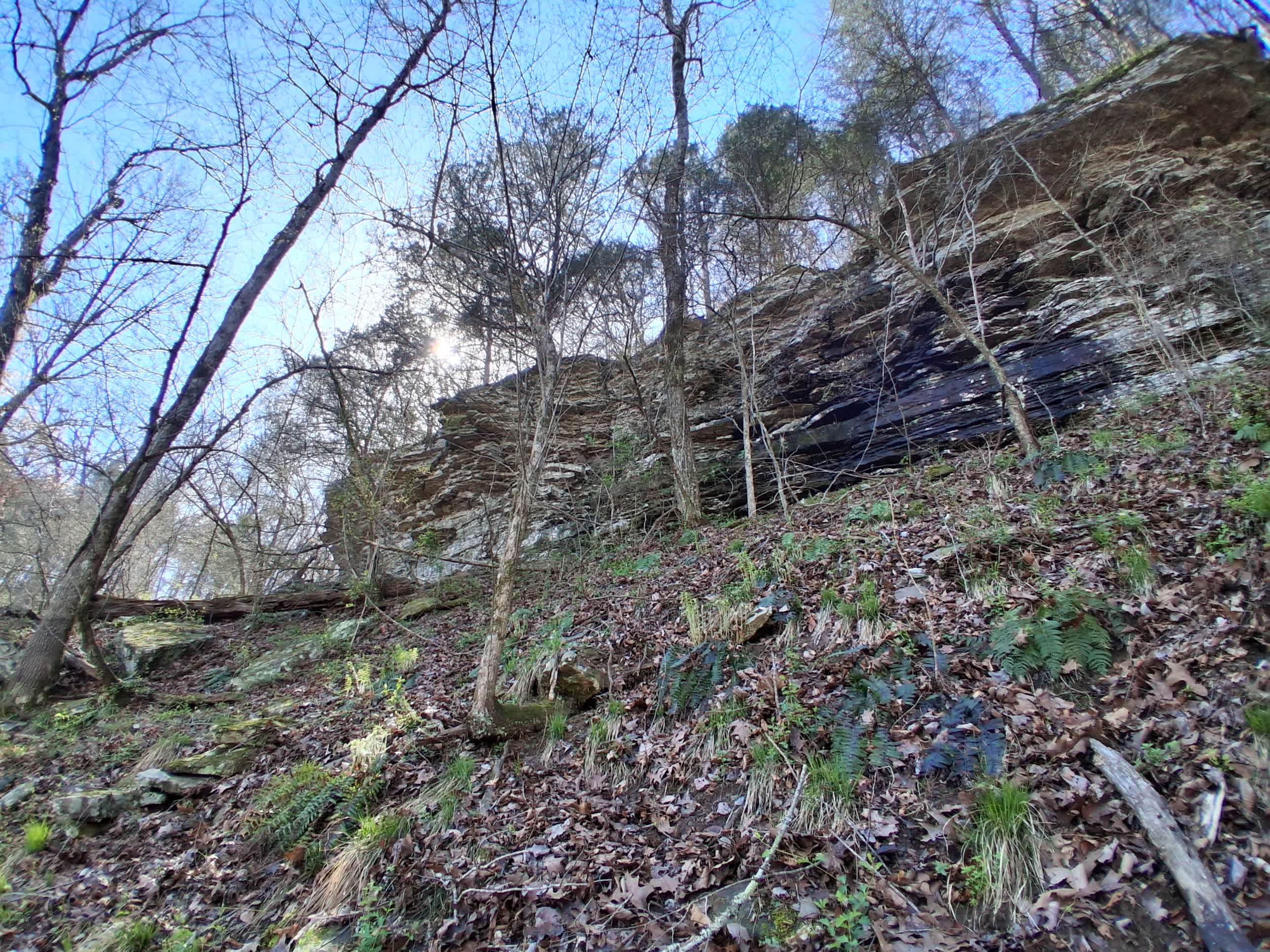 Pinnacle Springs Recreational Park