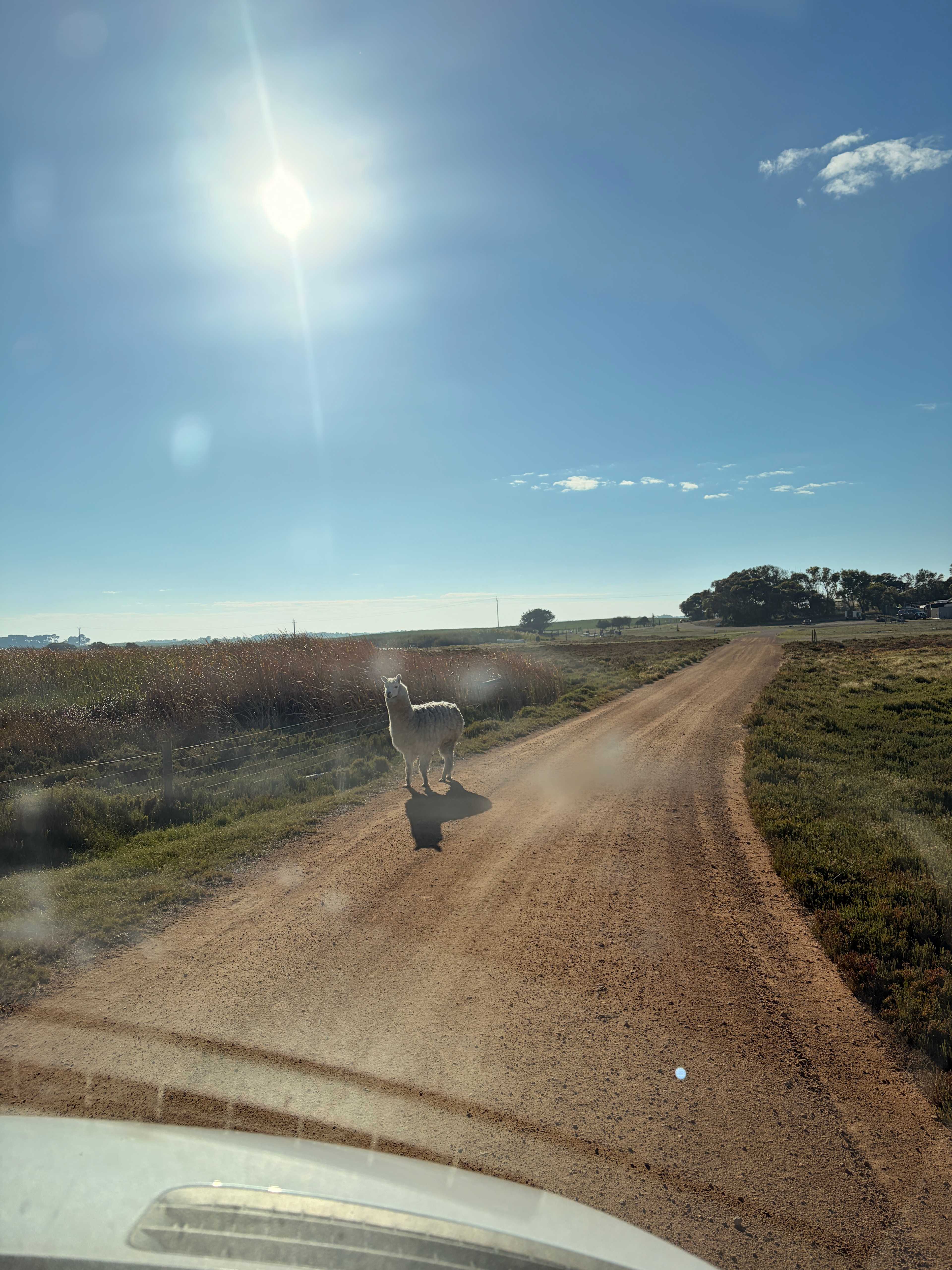 Coorong Island Retreat