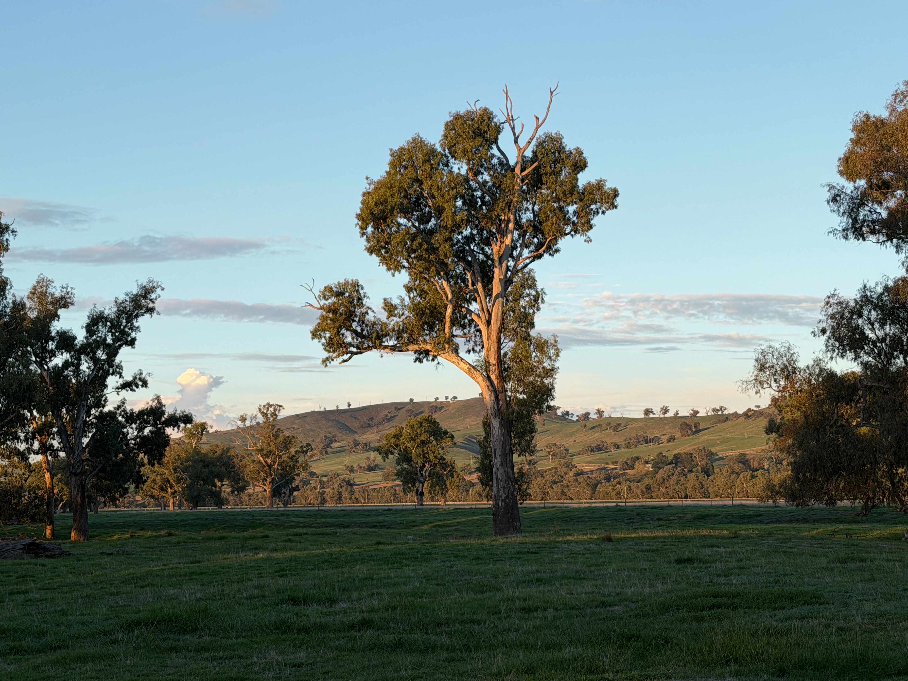Rolling Hills & Riverside Camping