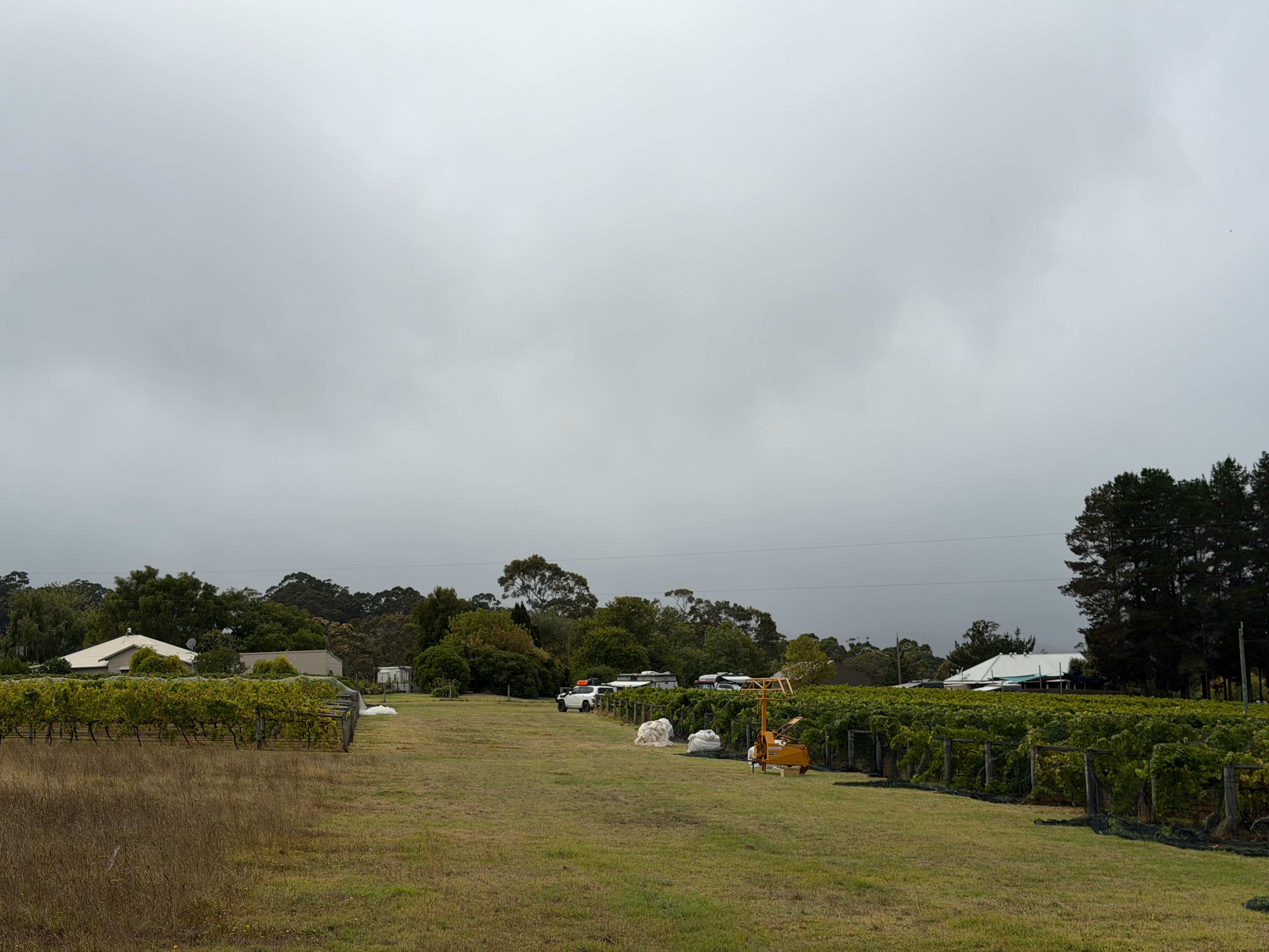 Plenty of space yo enjoy a walk