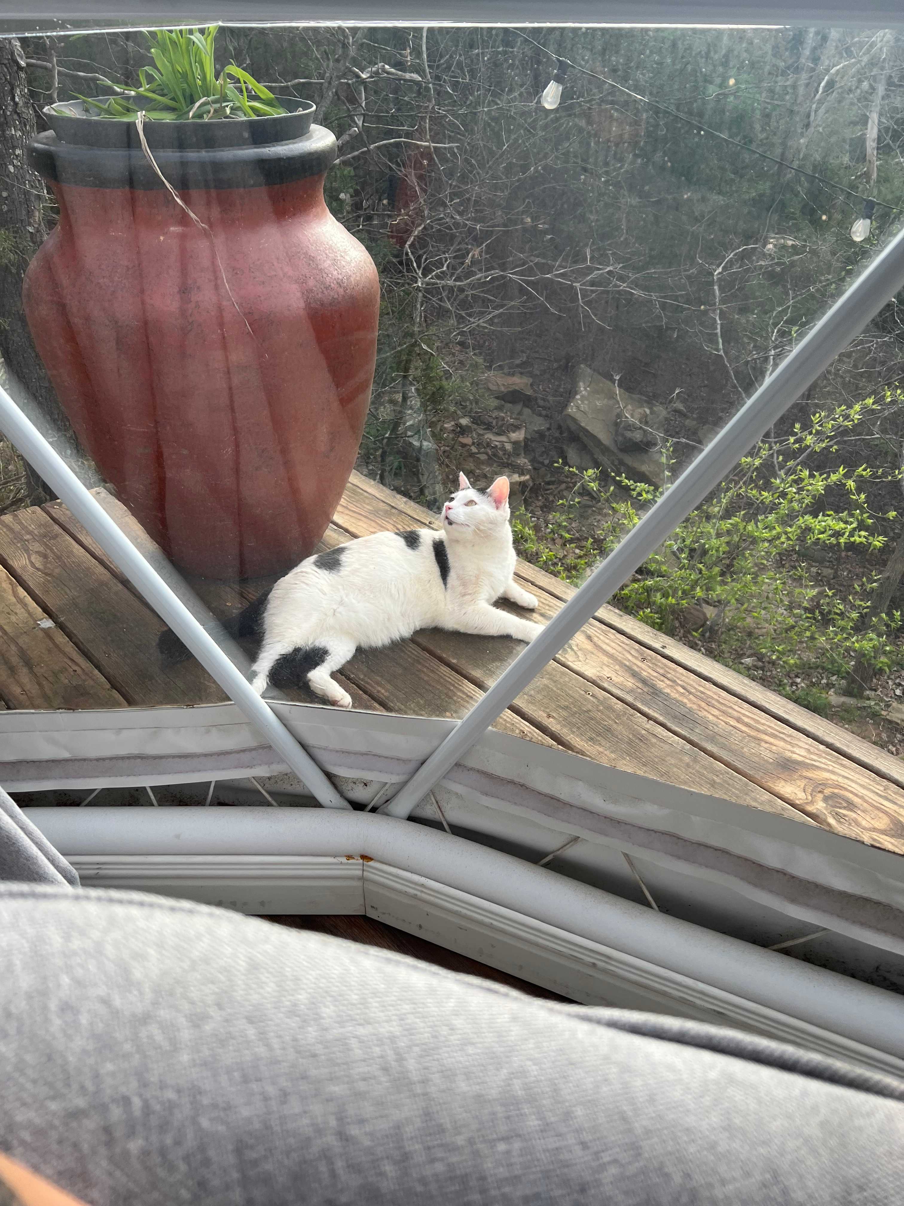 Three Ponds Community