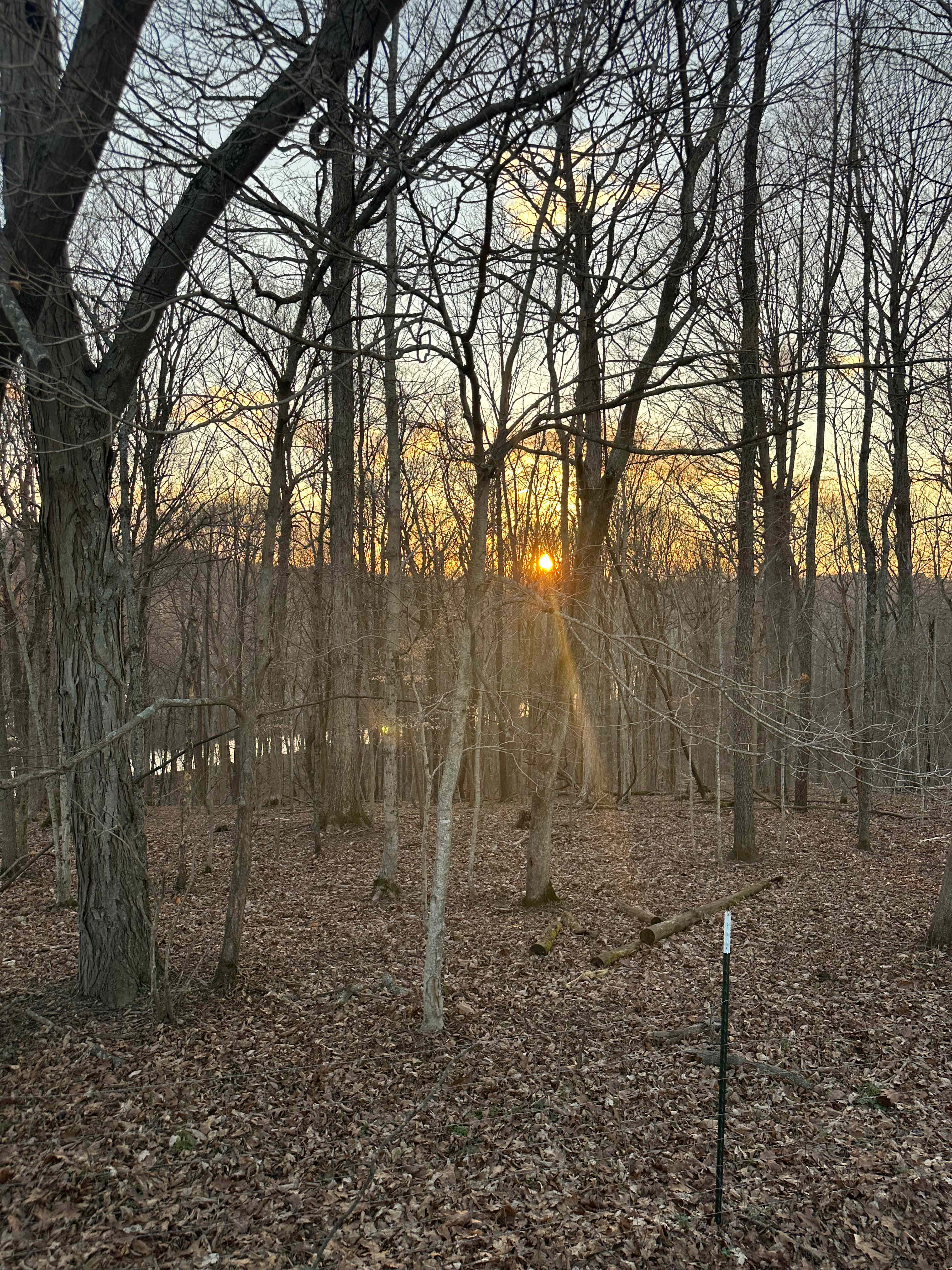 Ambers Acres