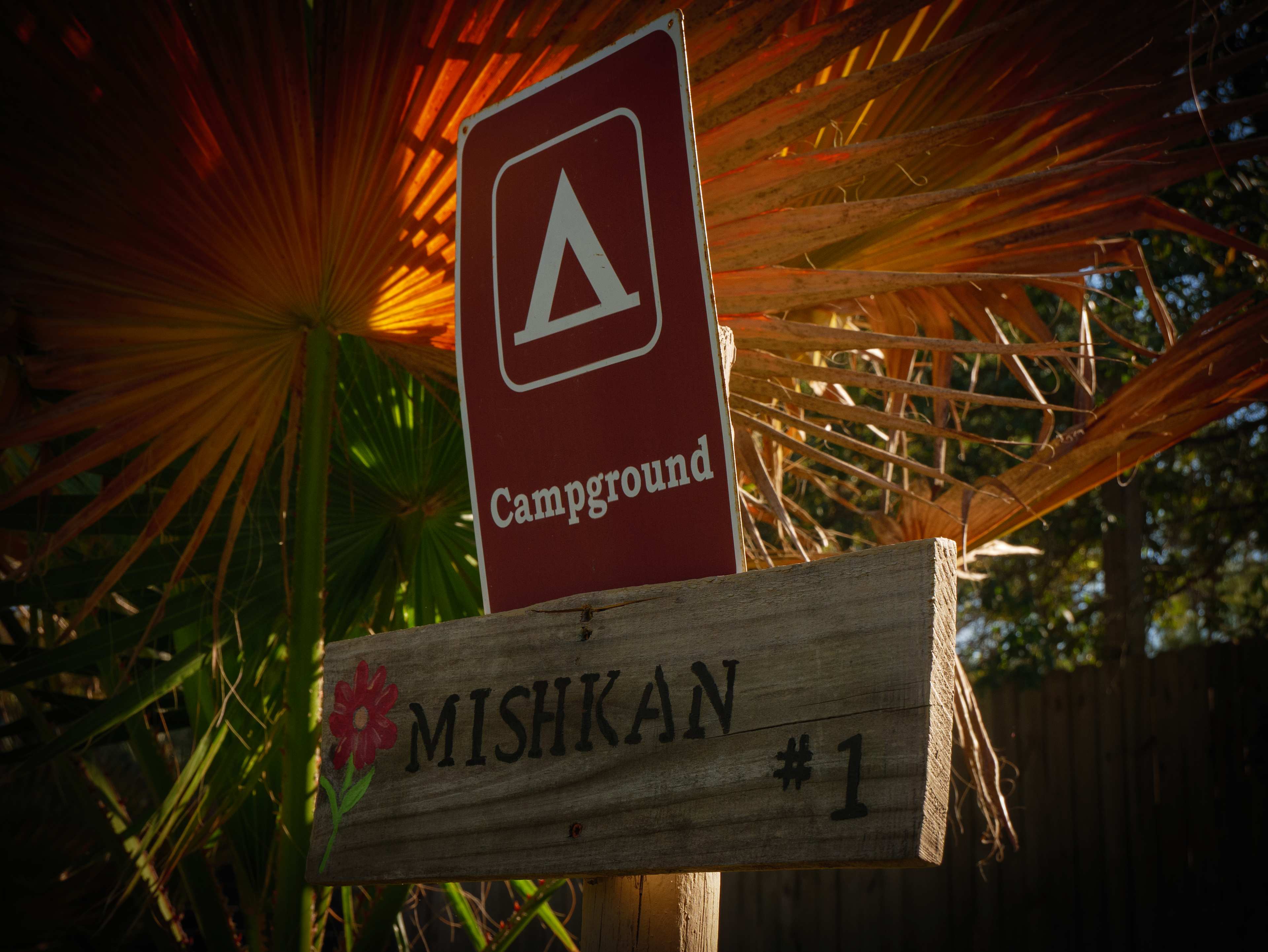 Malakai 🏕 different by design