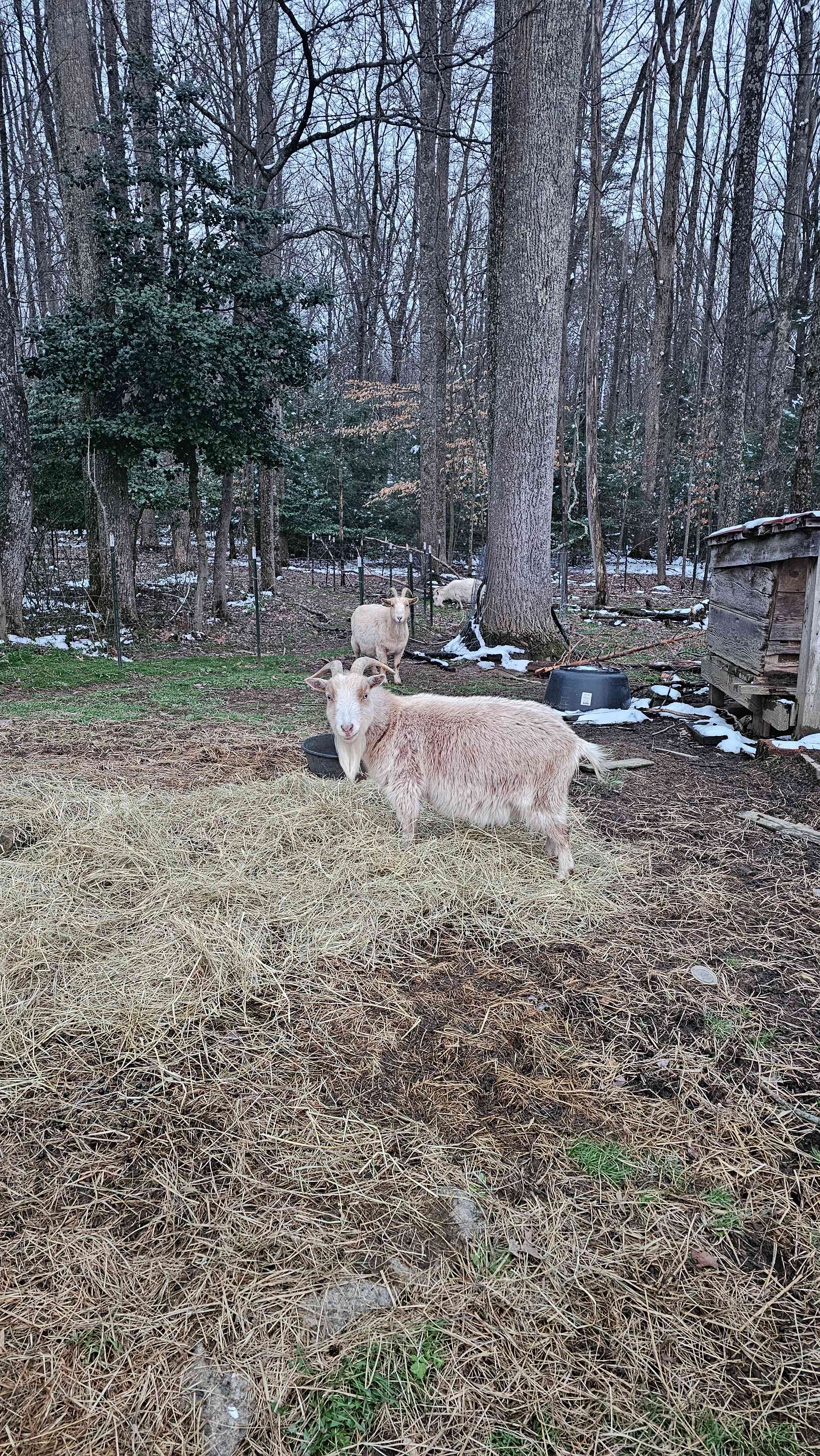 Arrowhead Bike Farm & Campground