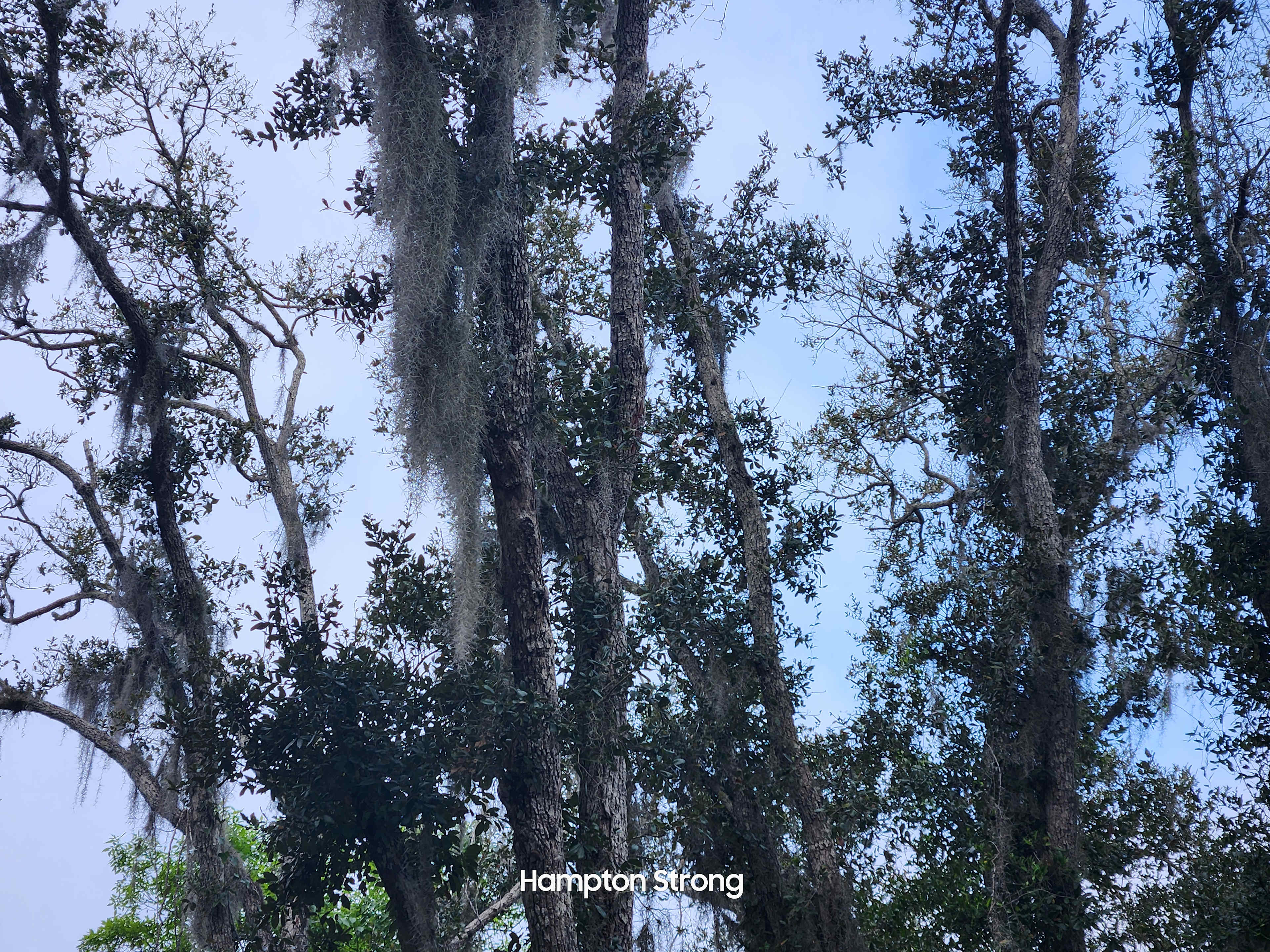 J and P Creekside Retreat