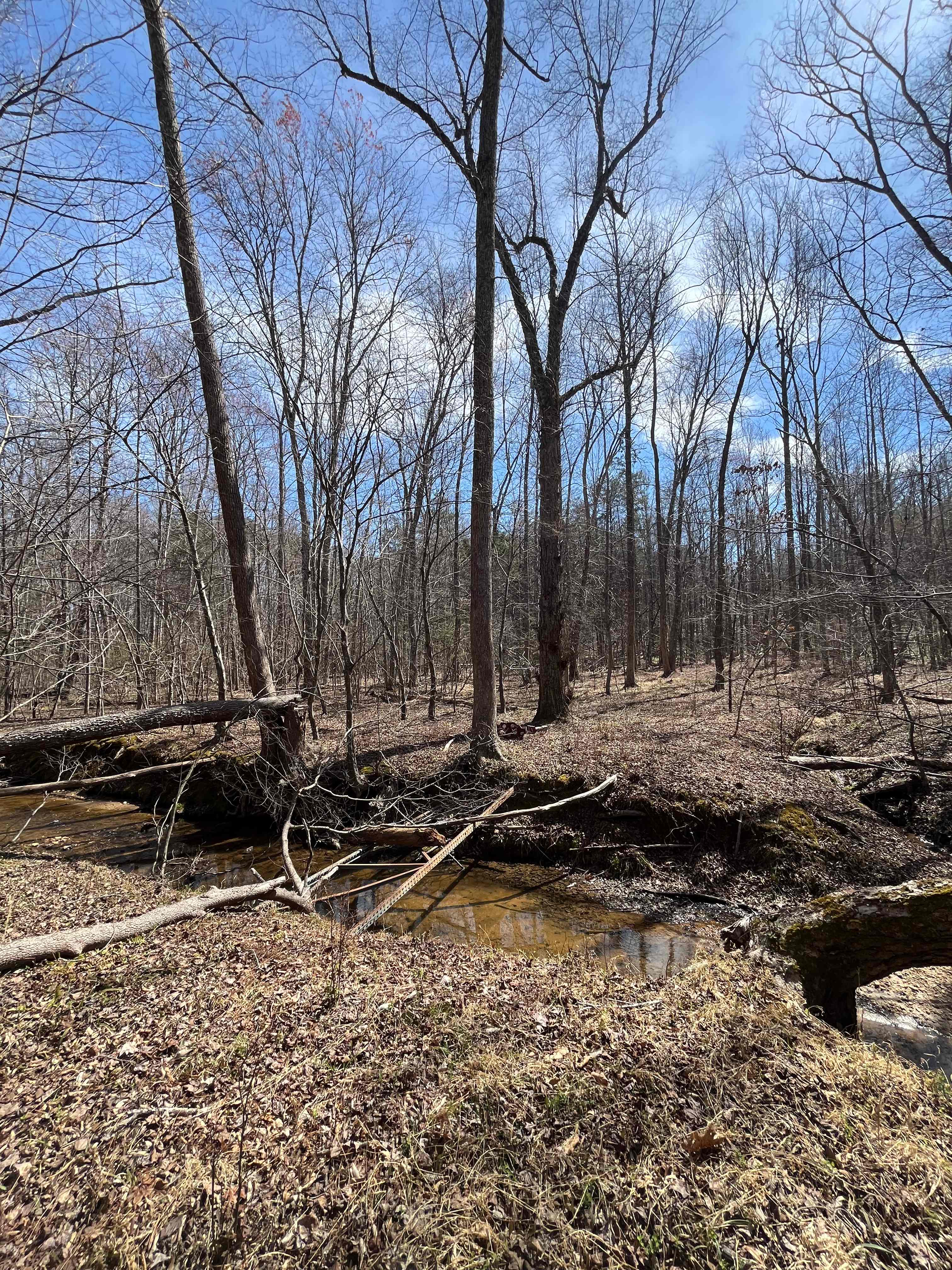Raccoon Creek on the property. 