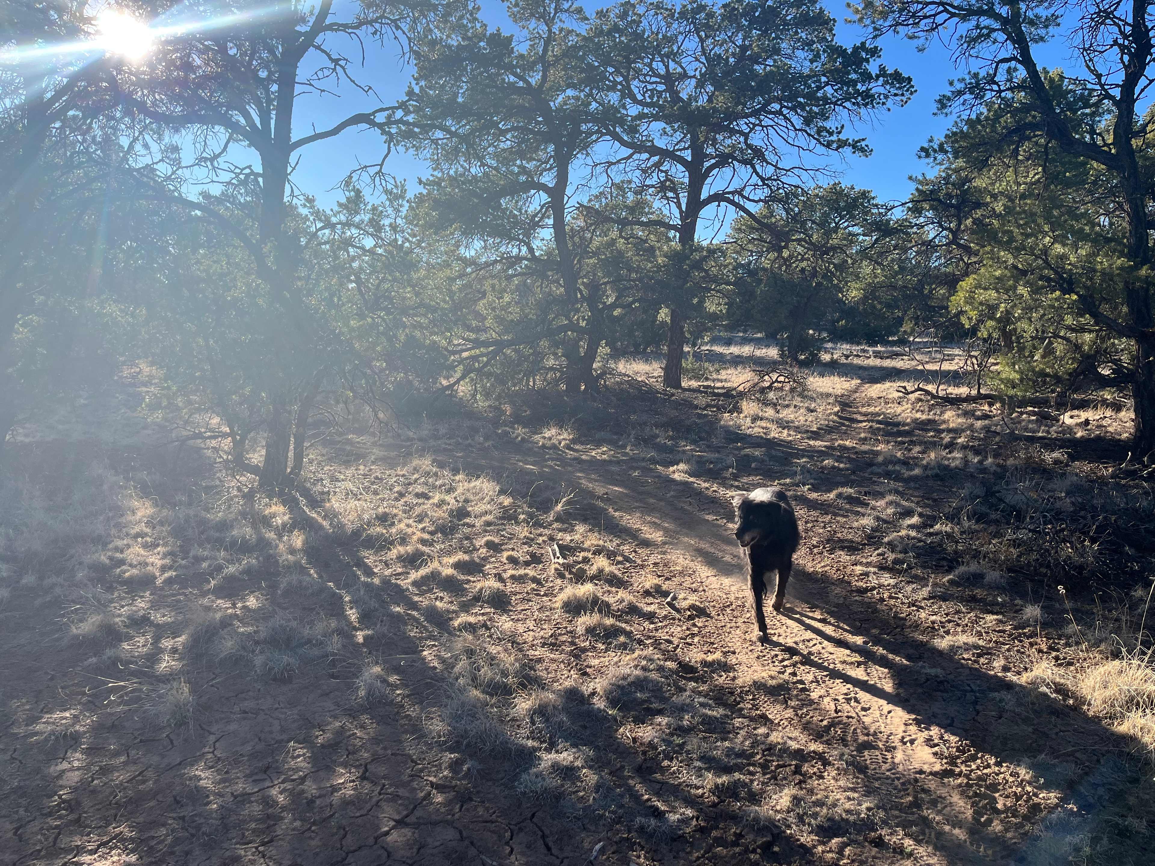 Mountain Vista Trails