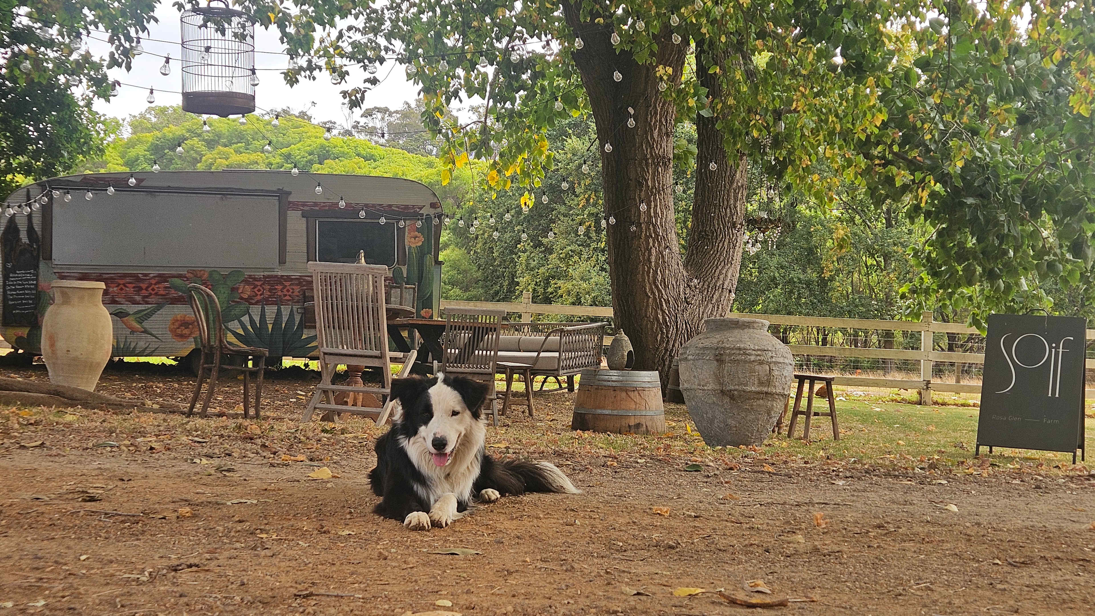 Margaret River - Rosa Glen Farm