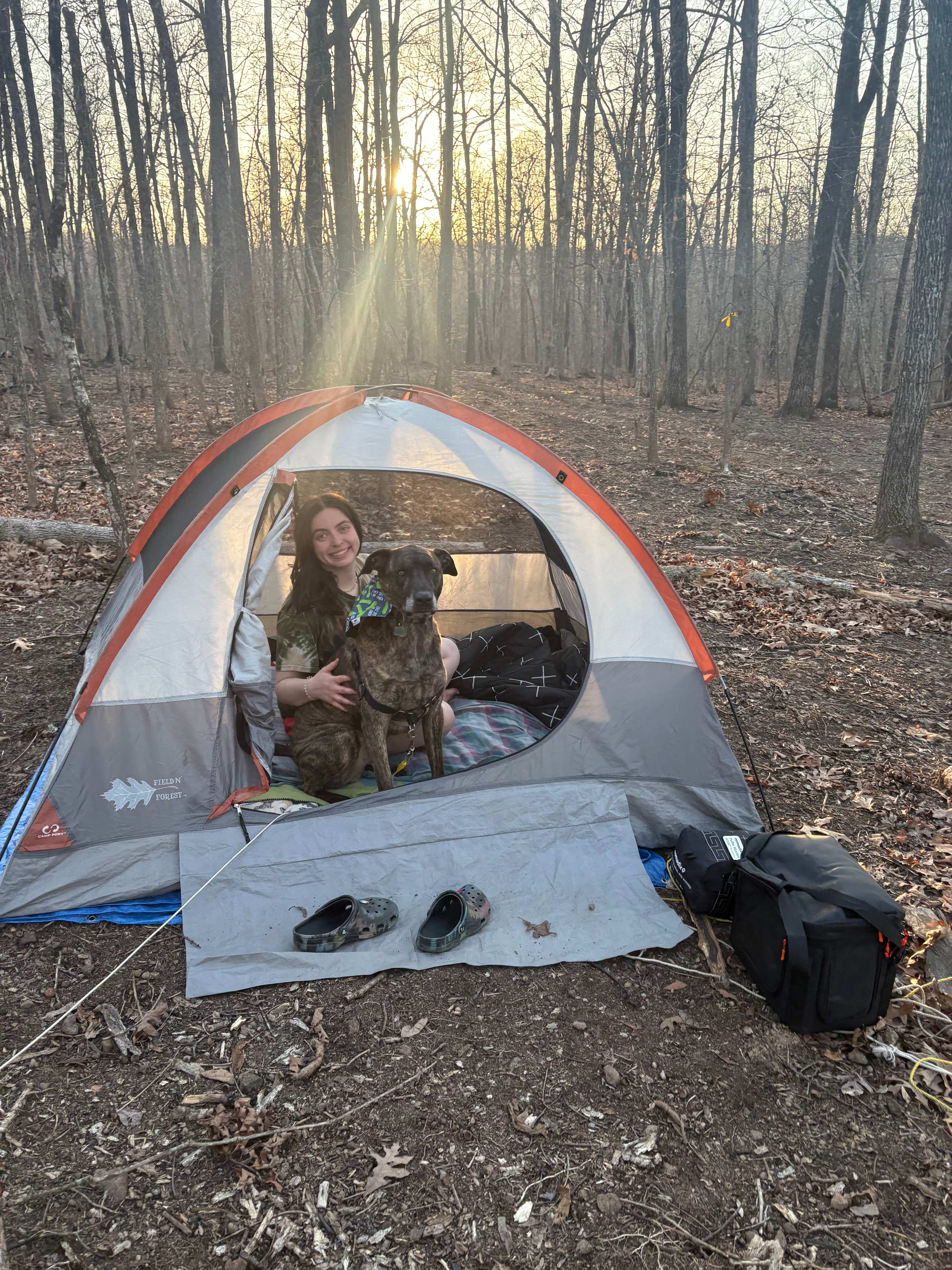 Secluded Camp near Buffalo River