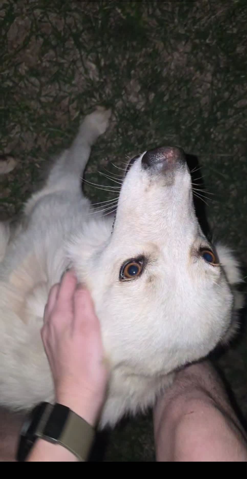 Waverley Historical Homestead