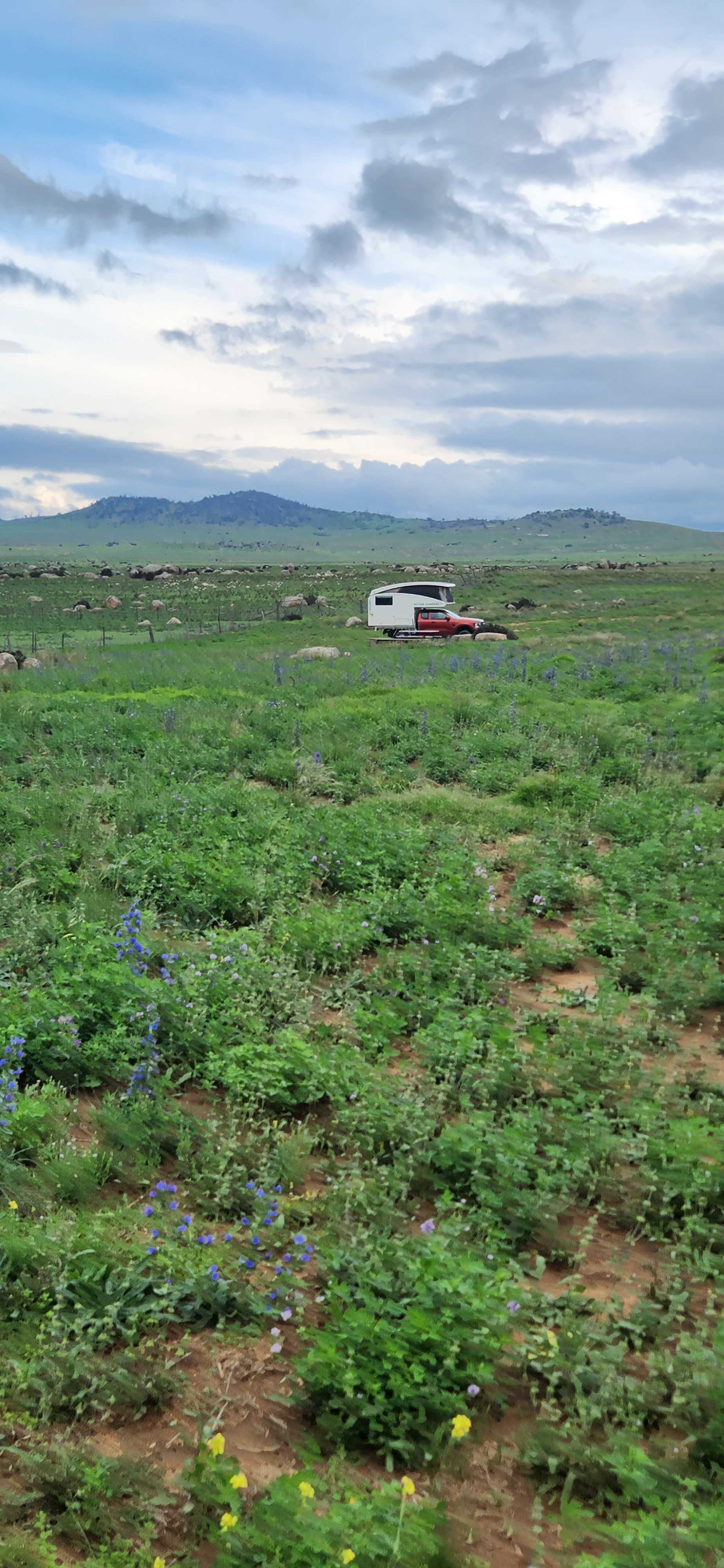 "Duck Downs" Snowy Mountains
