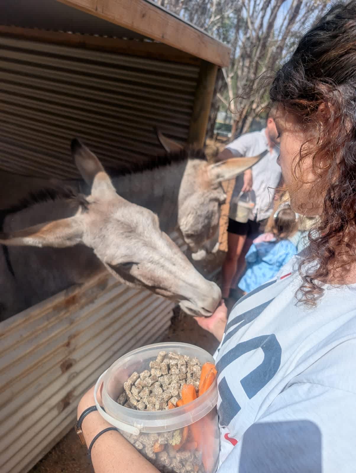 Sandalwood Downs  Farm Stay Toodyay