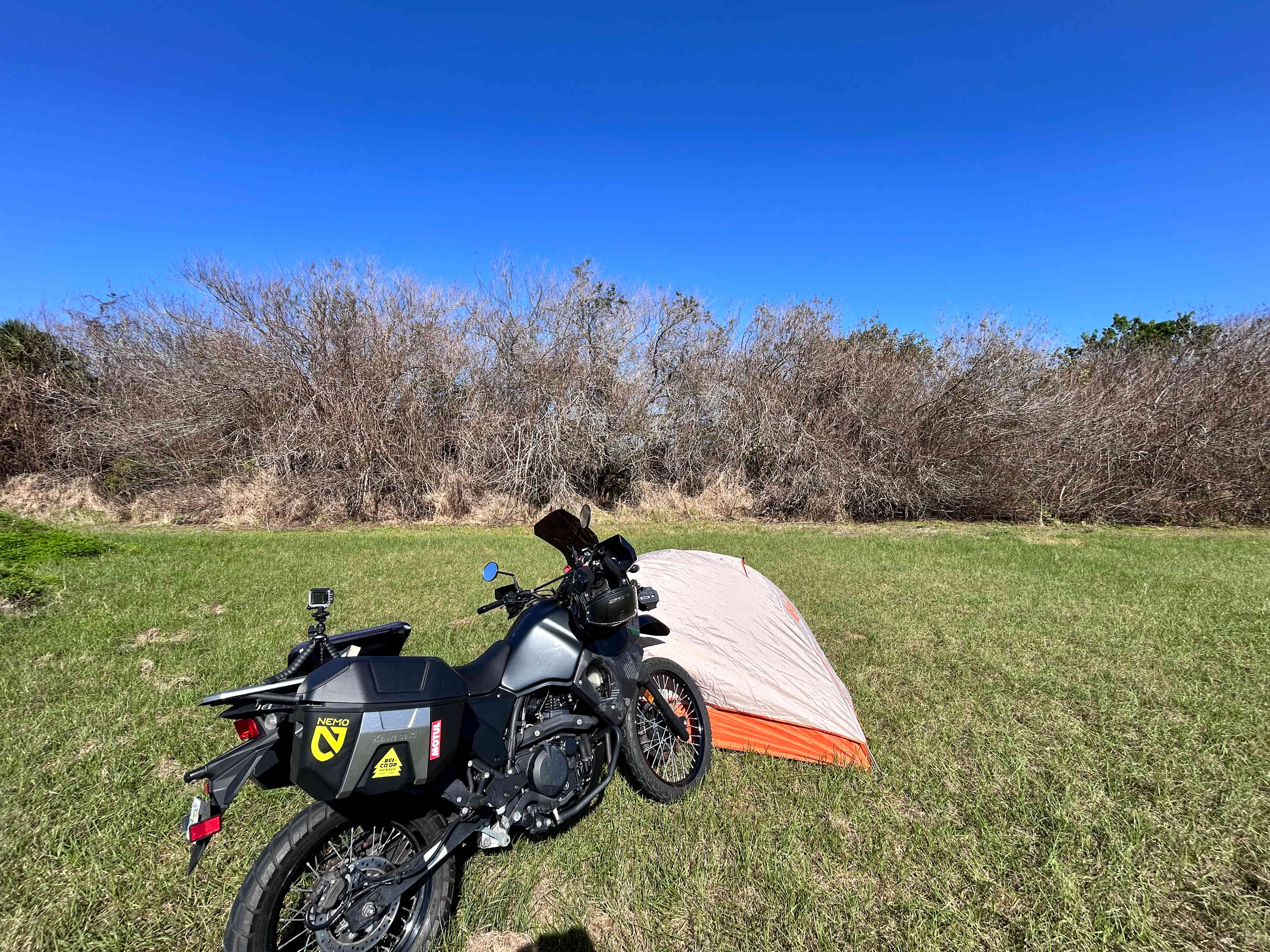 Citrus Sunrise Family Farm