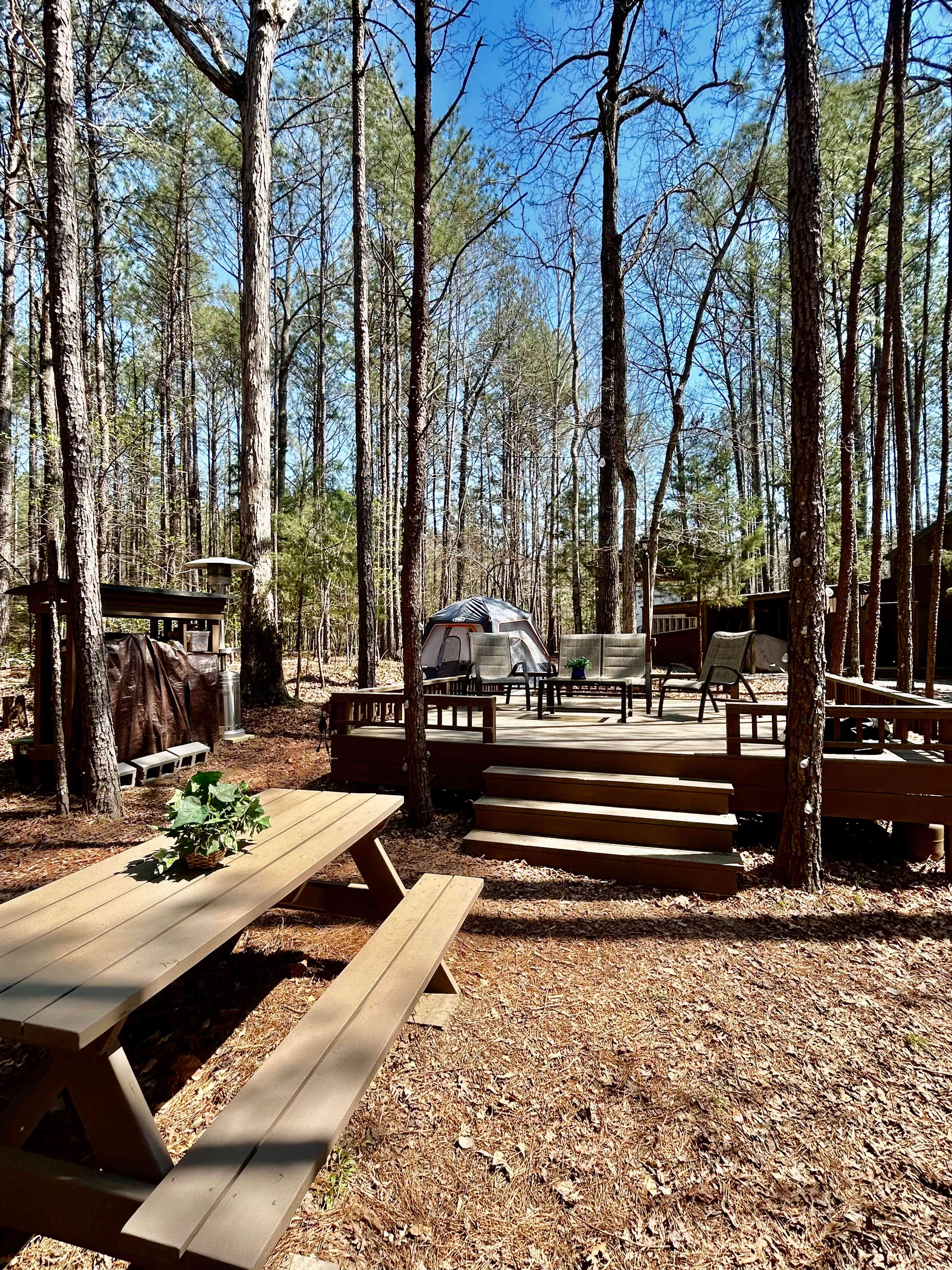 Picture of the site