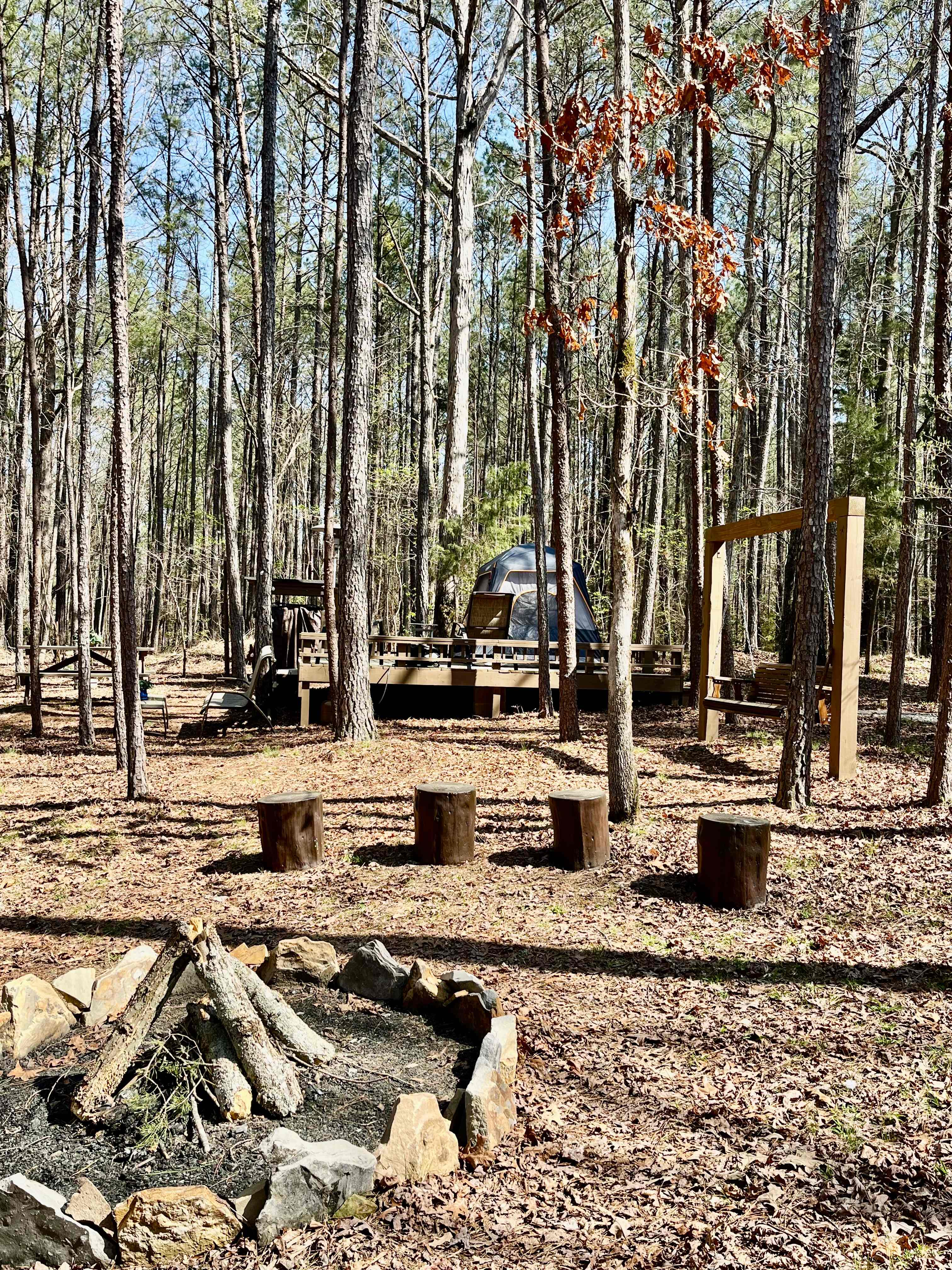Fire pit, swing, tent platform 