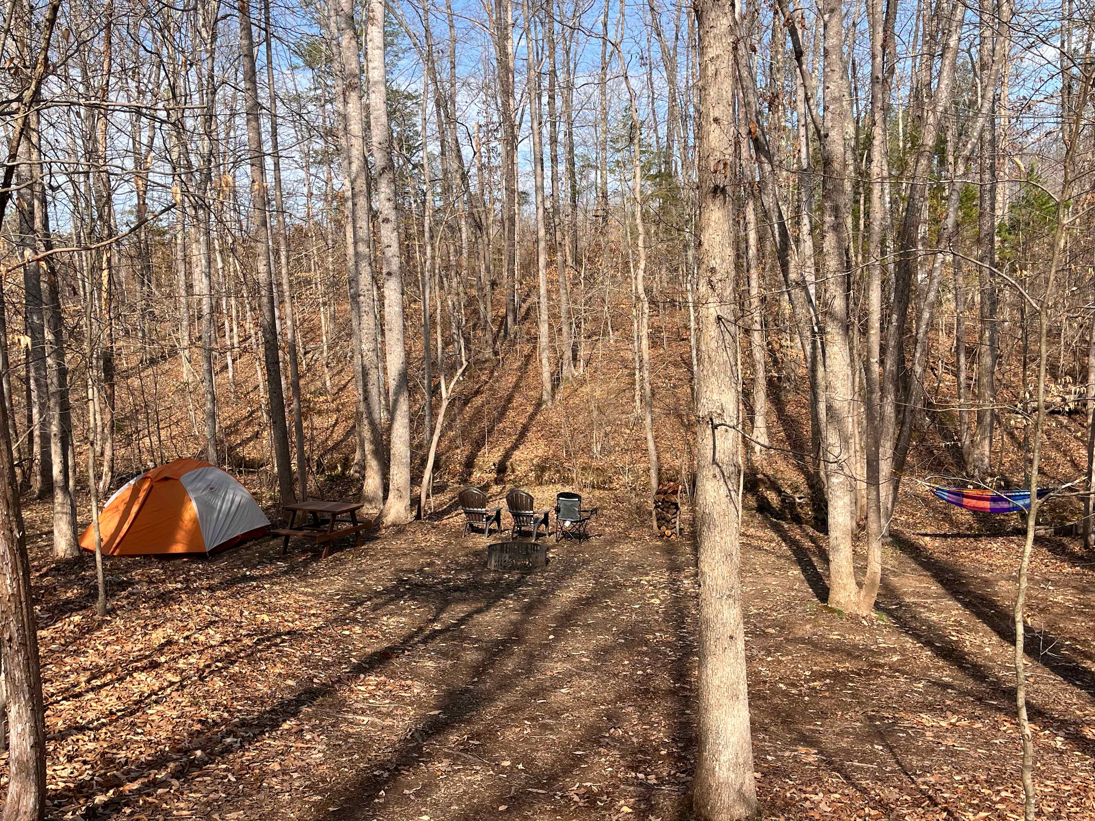 Picture of the site