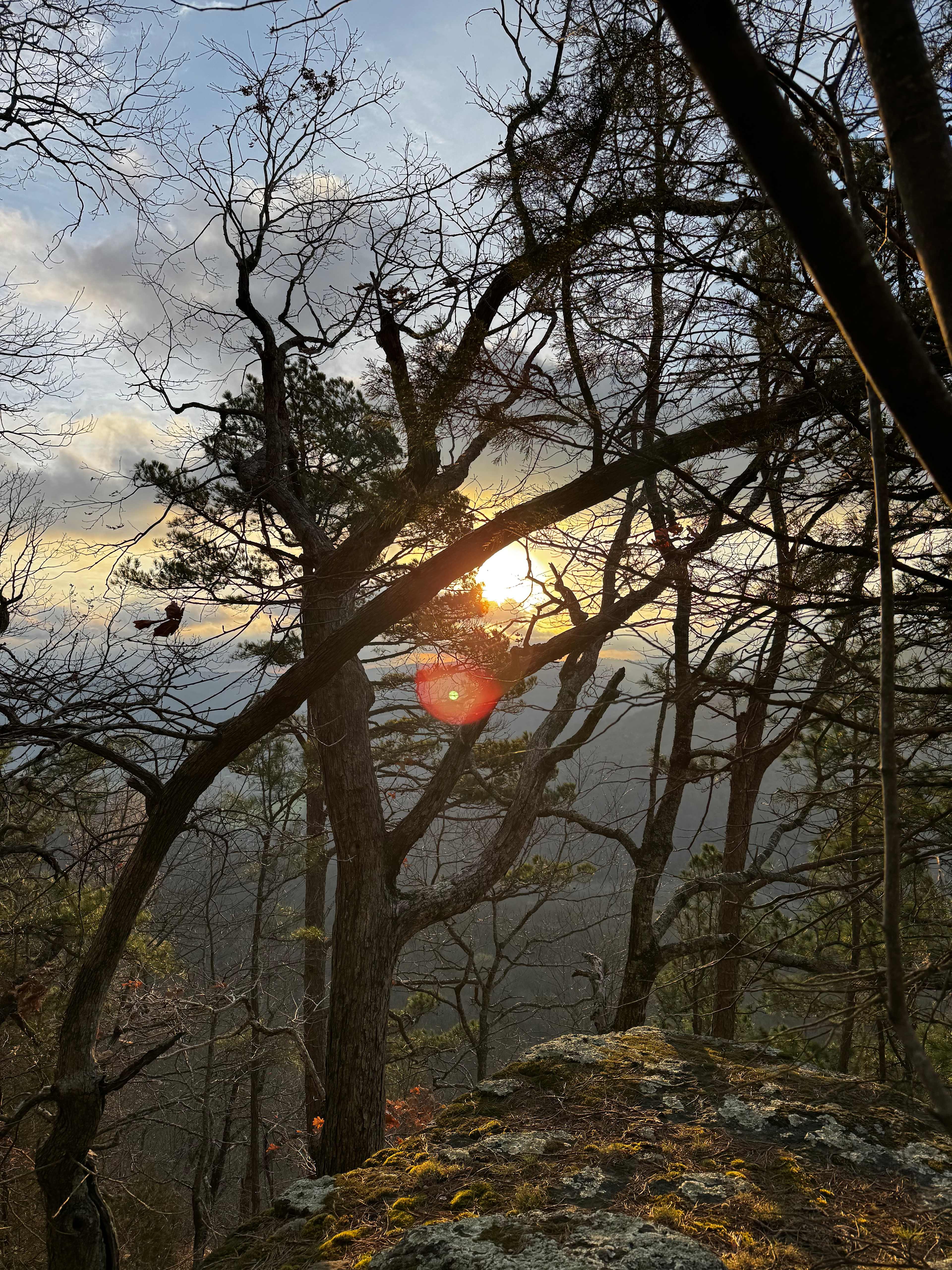 Wilderness Rider Buffalo Ranch
