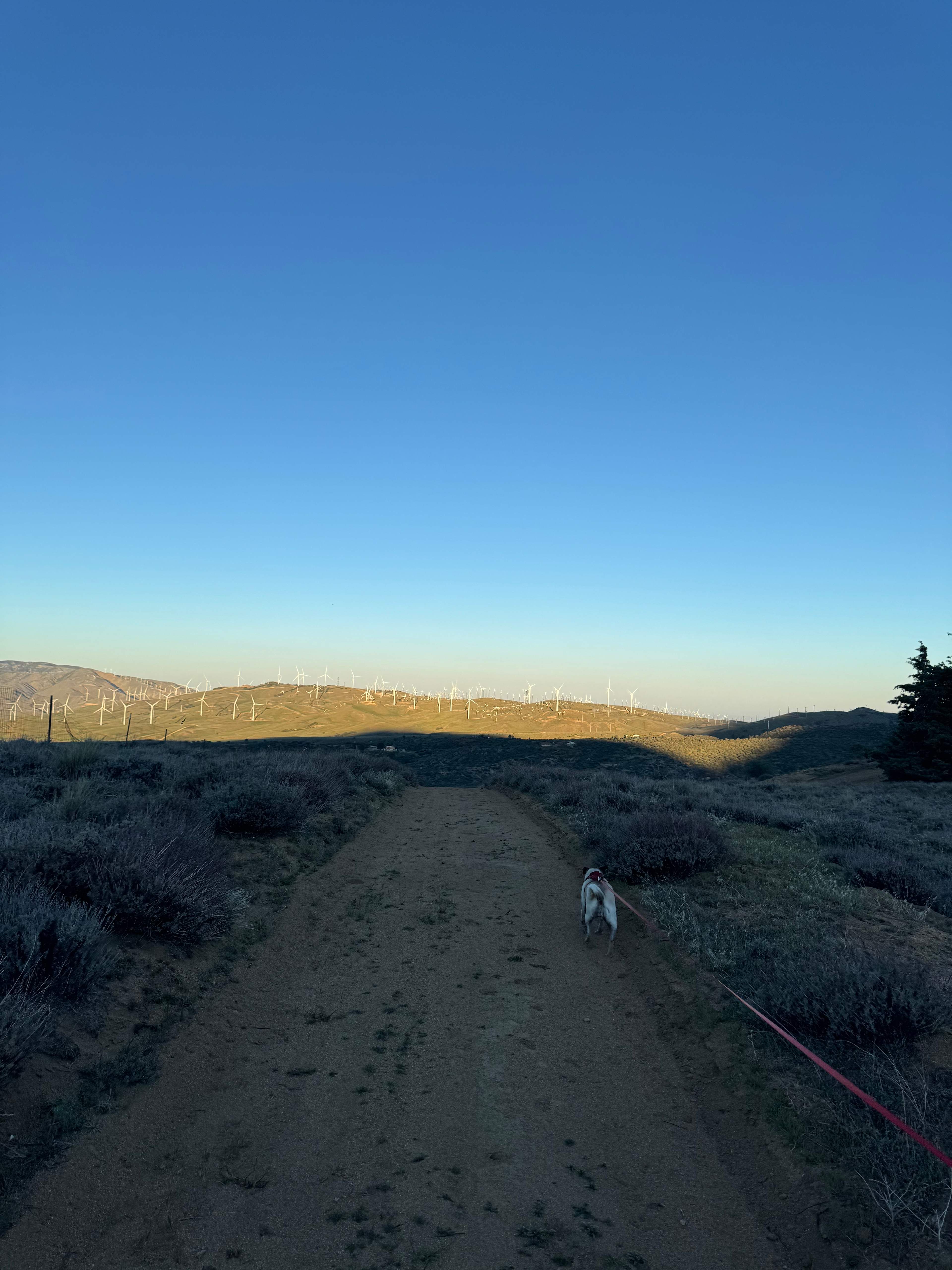 A Unique Mountain Retreat