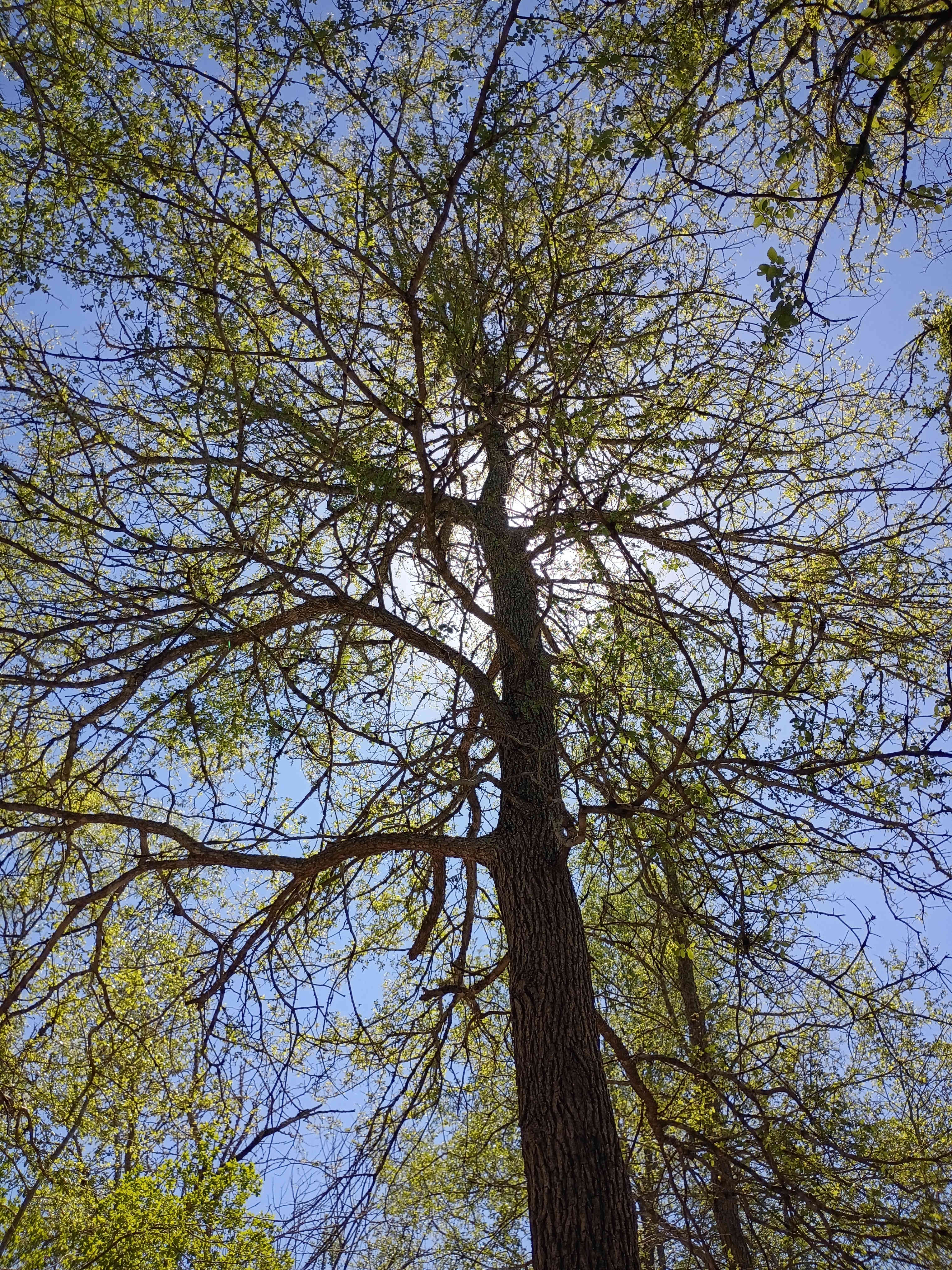 Happy Horse Camp & RV Getaway