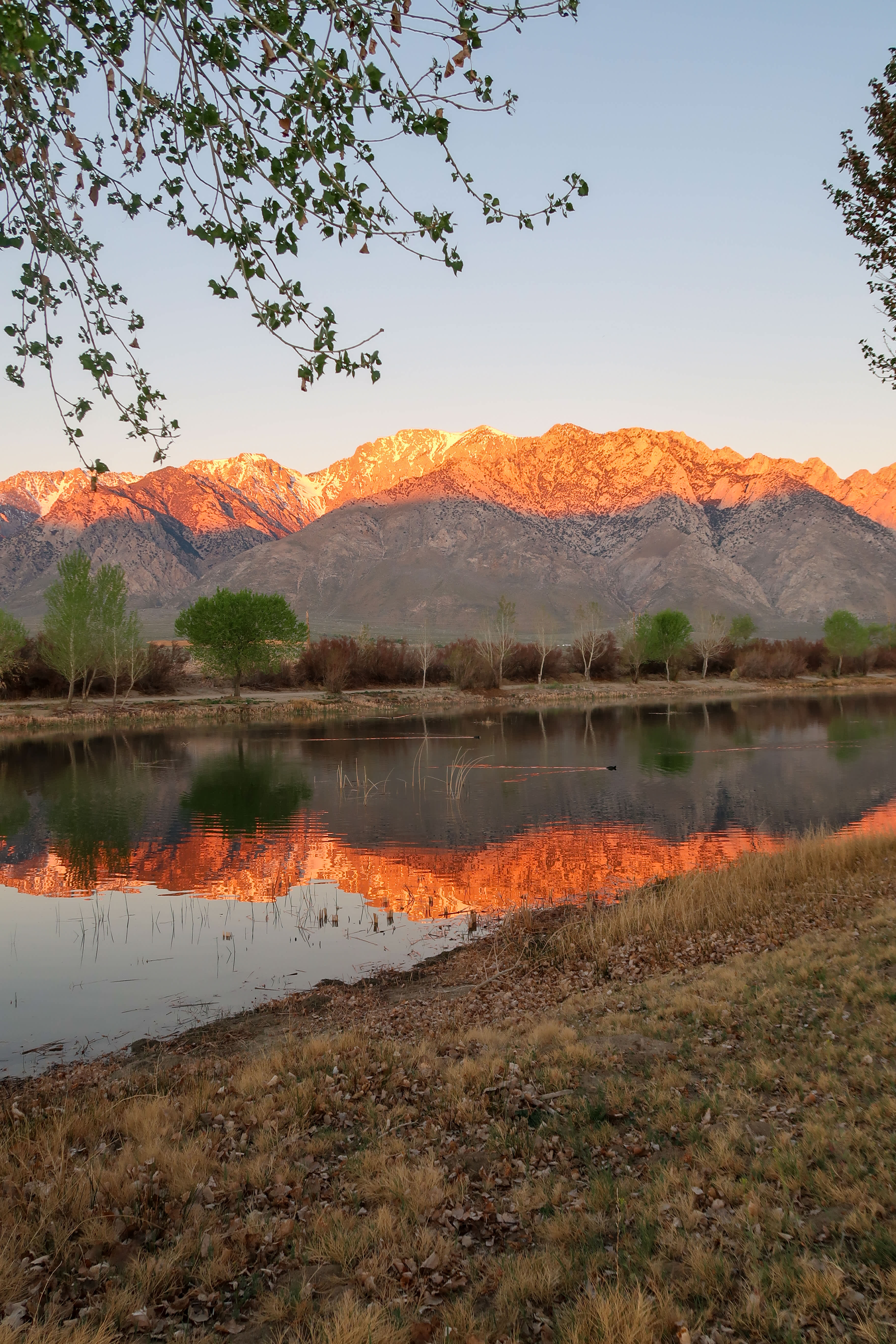 Lake Olancha RV Park and Campground