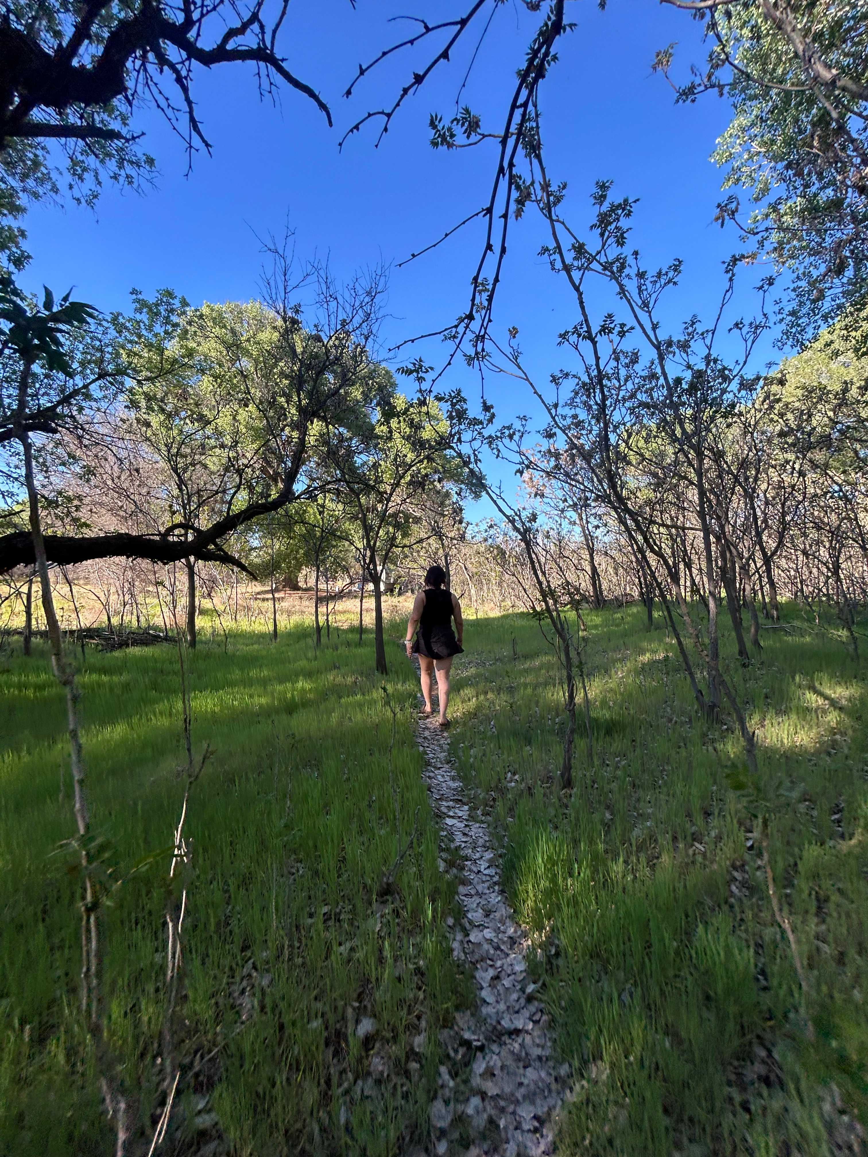 Hawks Hideaway Camping, LLC