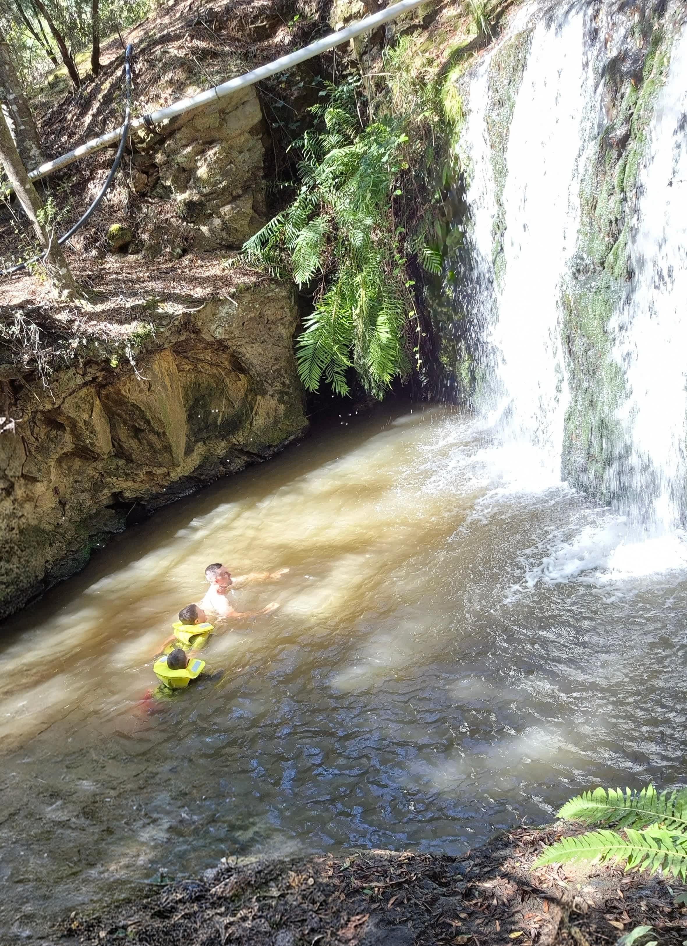 🐞🌿 Ladybug Camping 🌿🐞