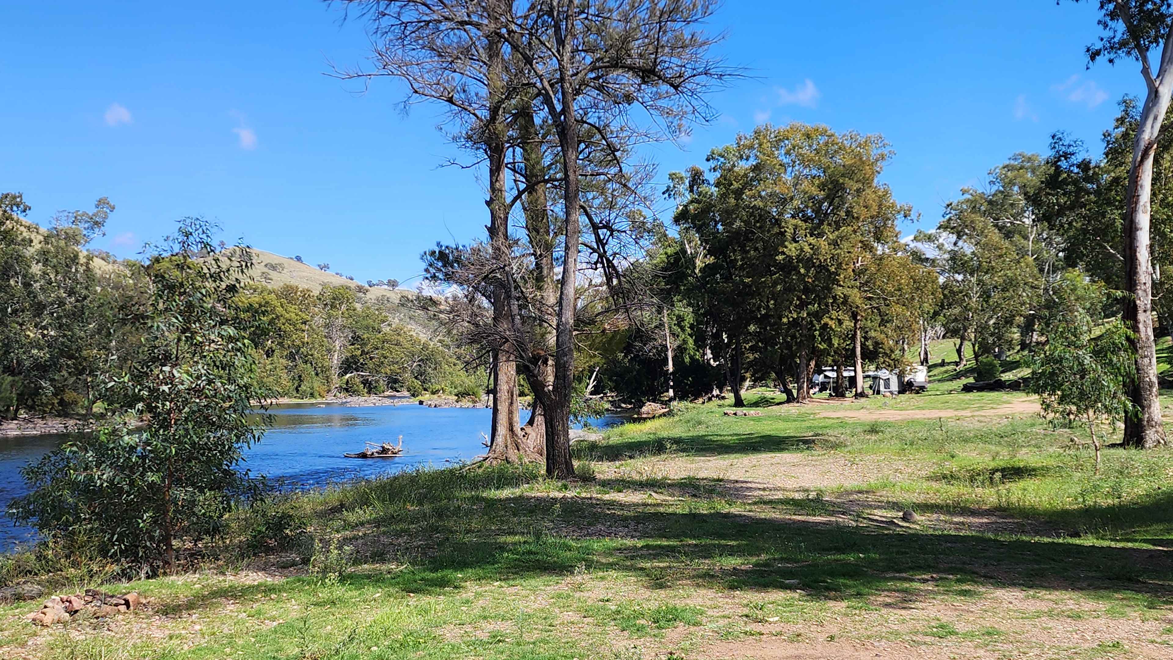 Jarabin on the Murrumbidgee