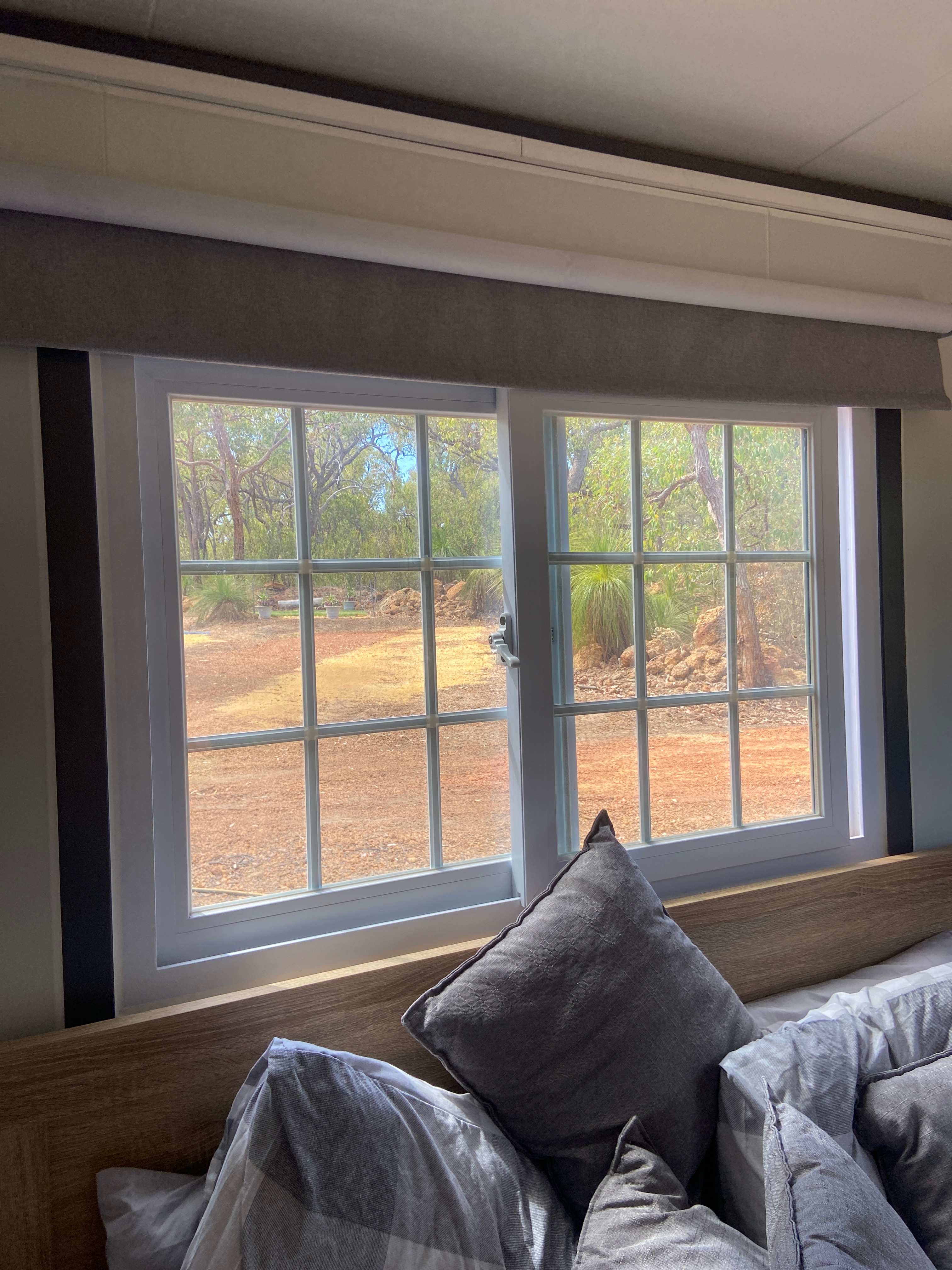 Evergreen Bush Stayz