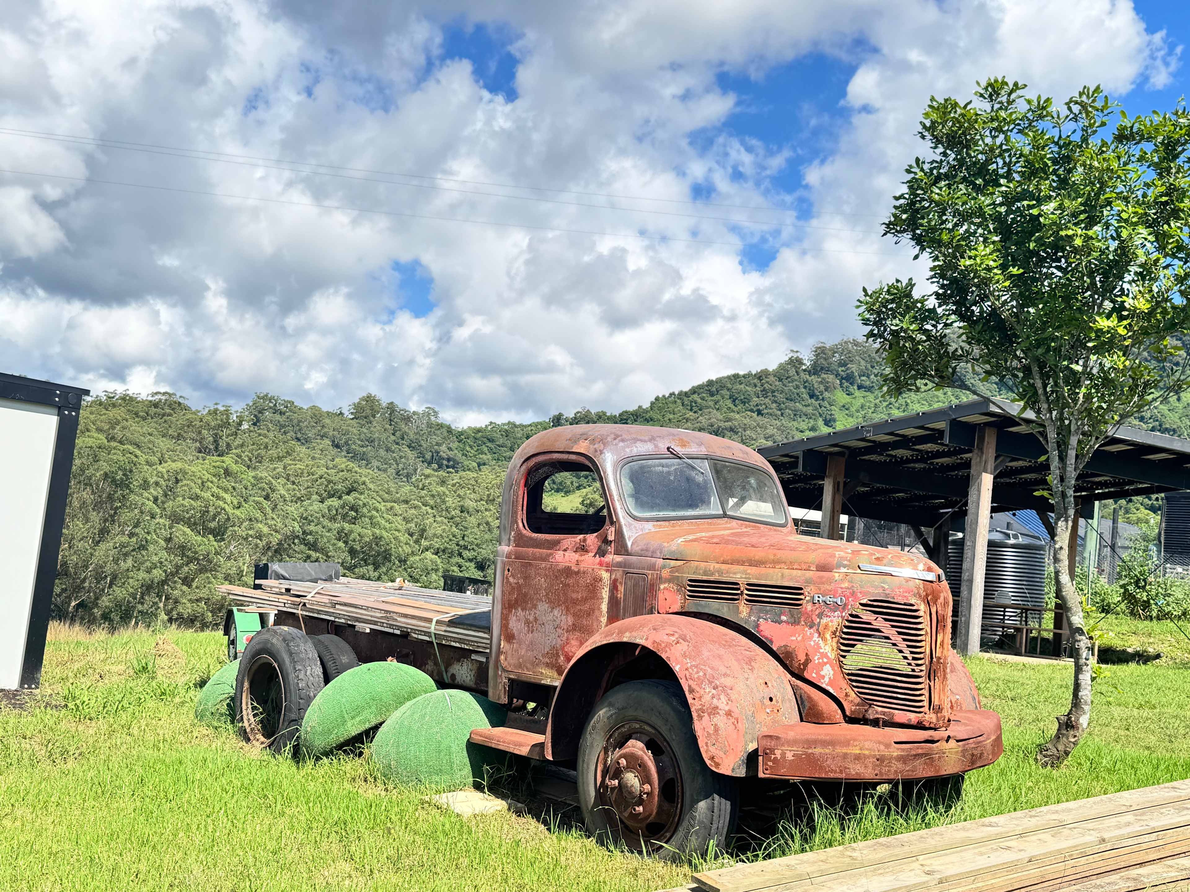 Young Macdonald’s Farm