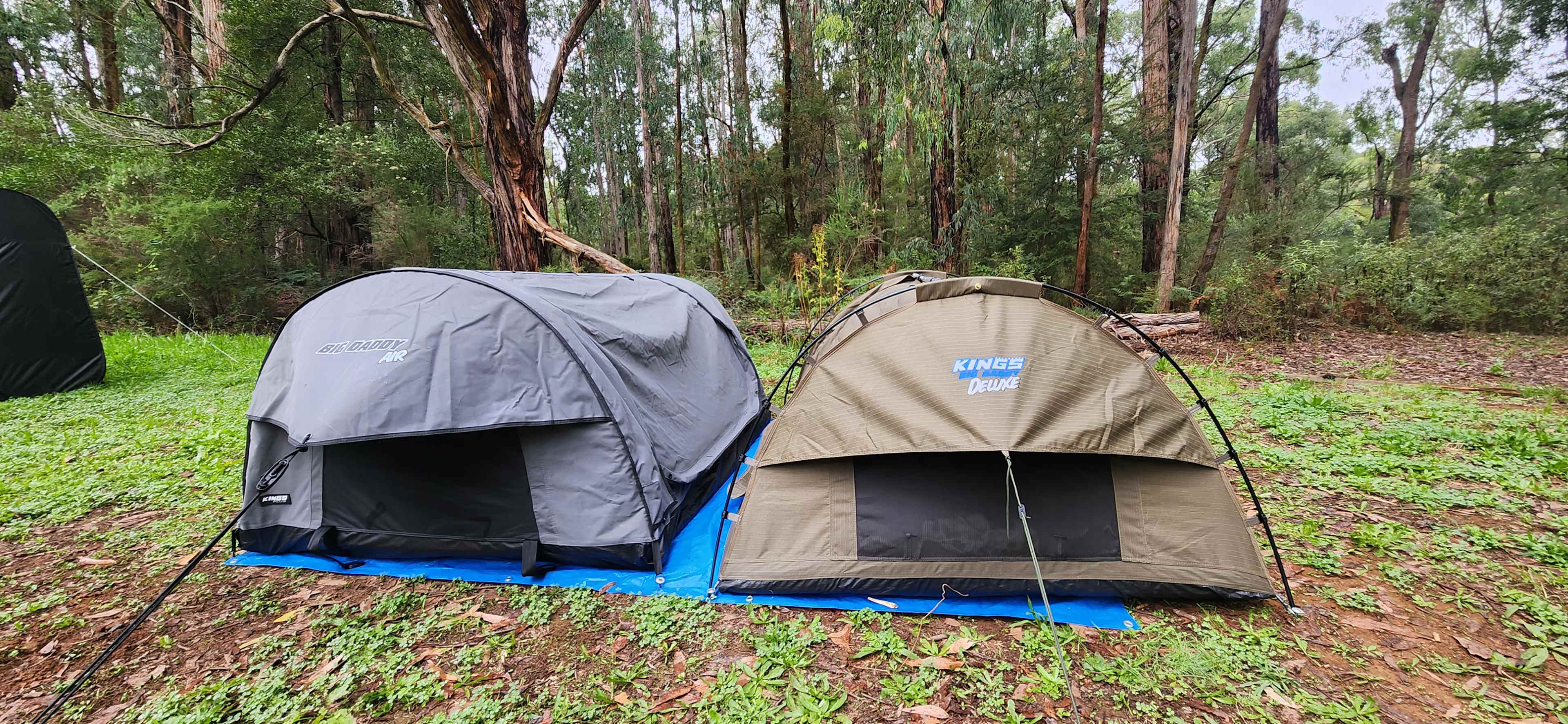 Nerrigundah Contrée Sauvage