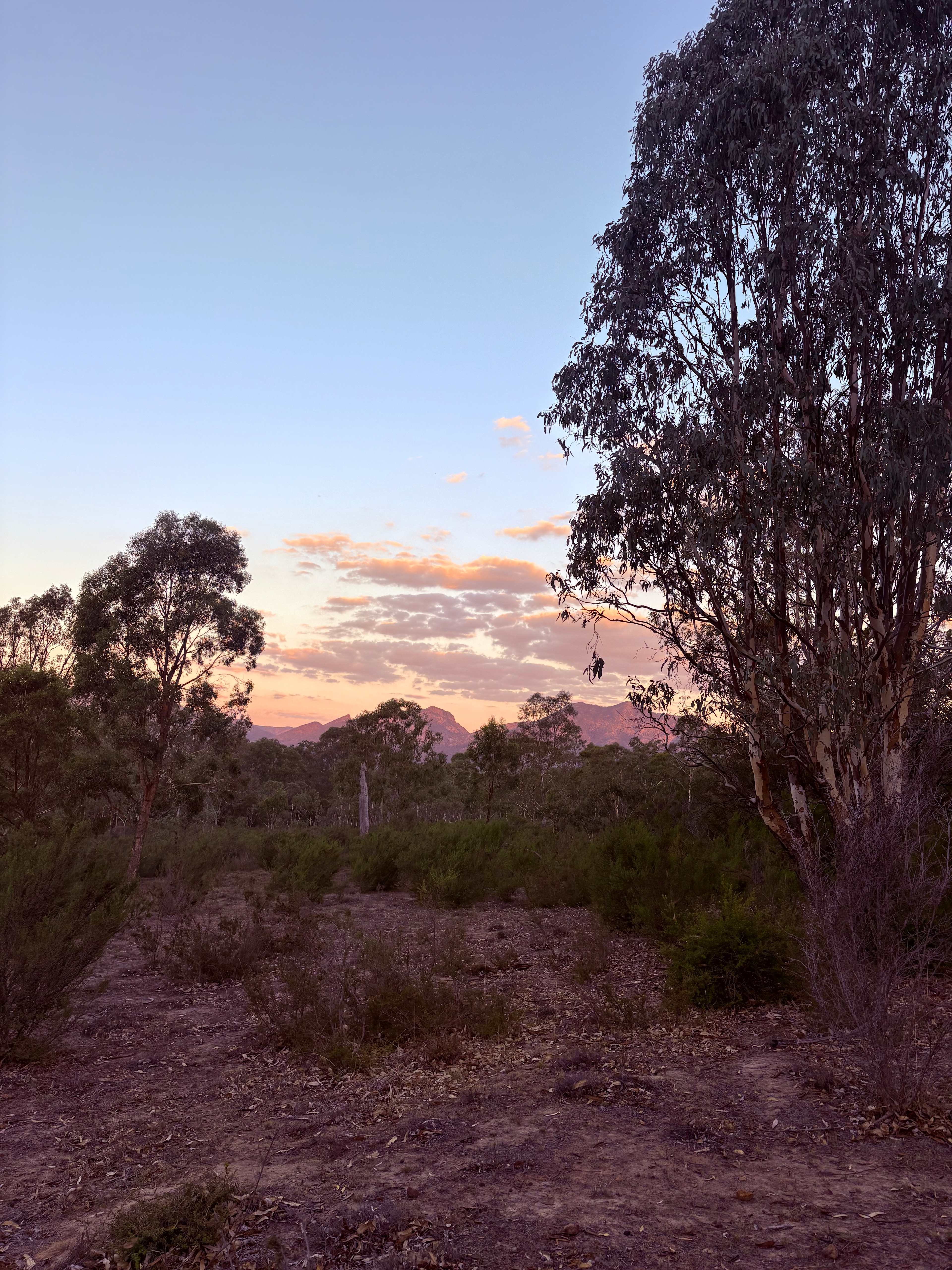 Bona Vista