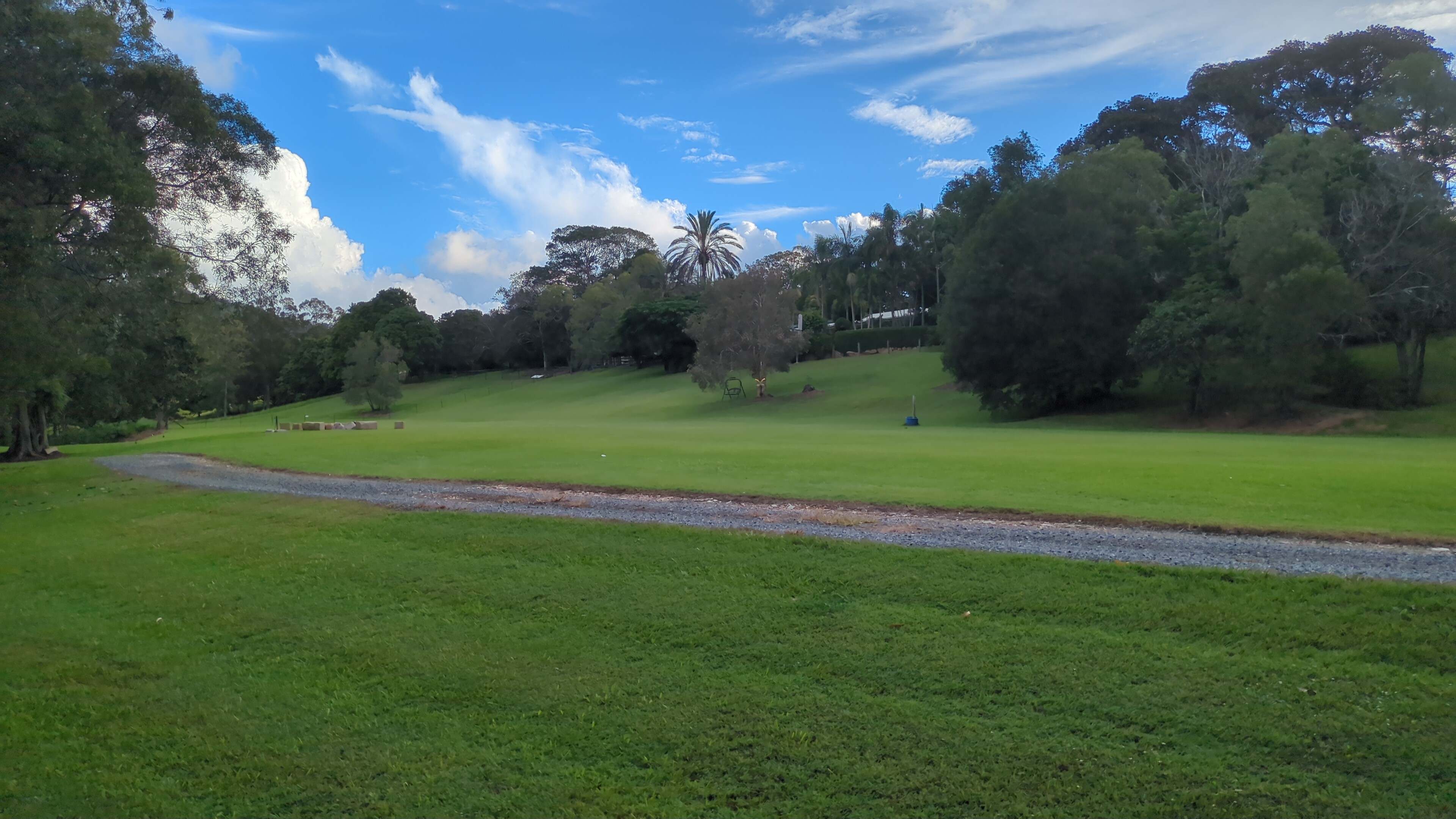 The Enchanted Paddock