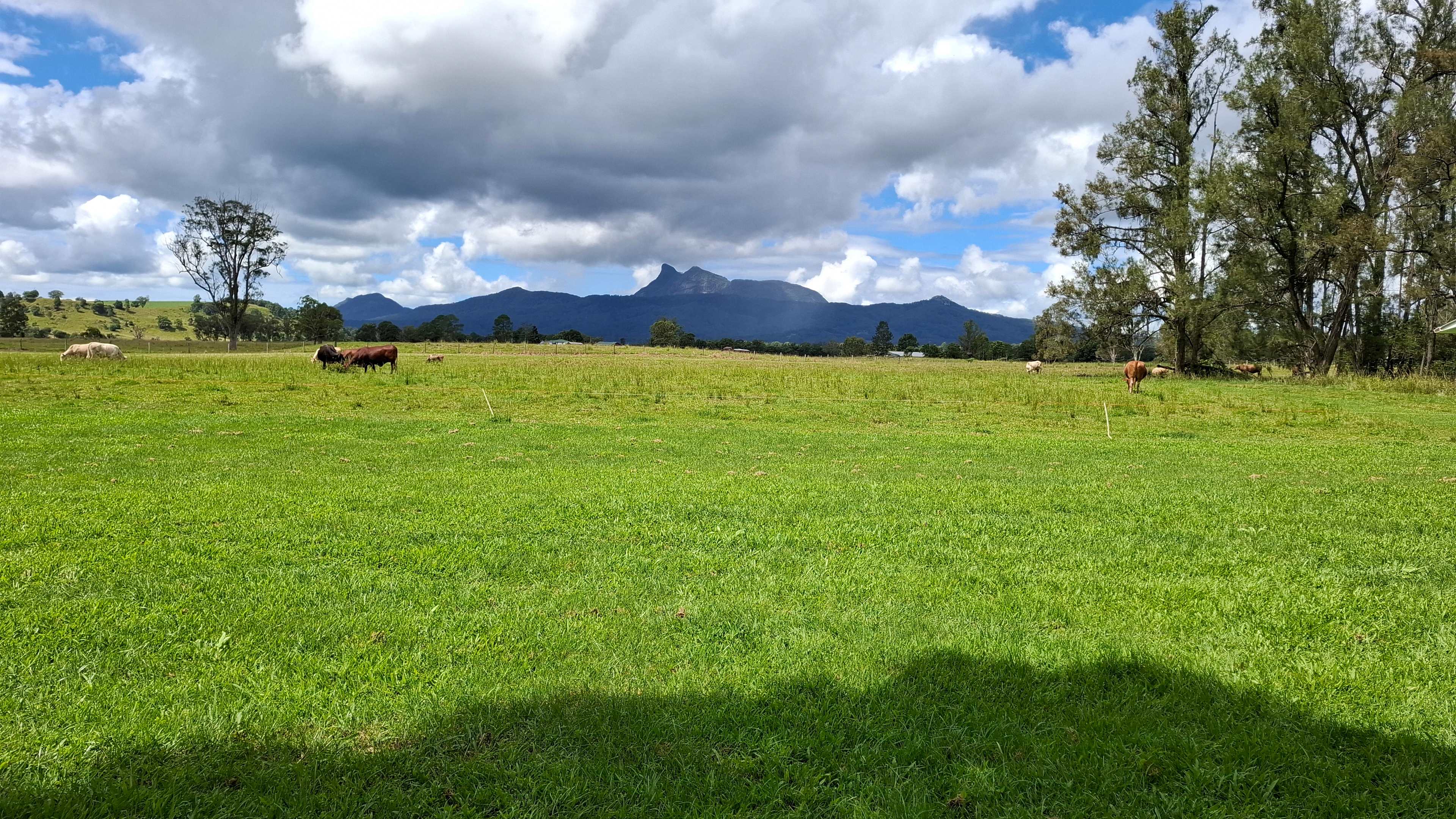 Tweed Valley Westbury Farm