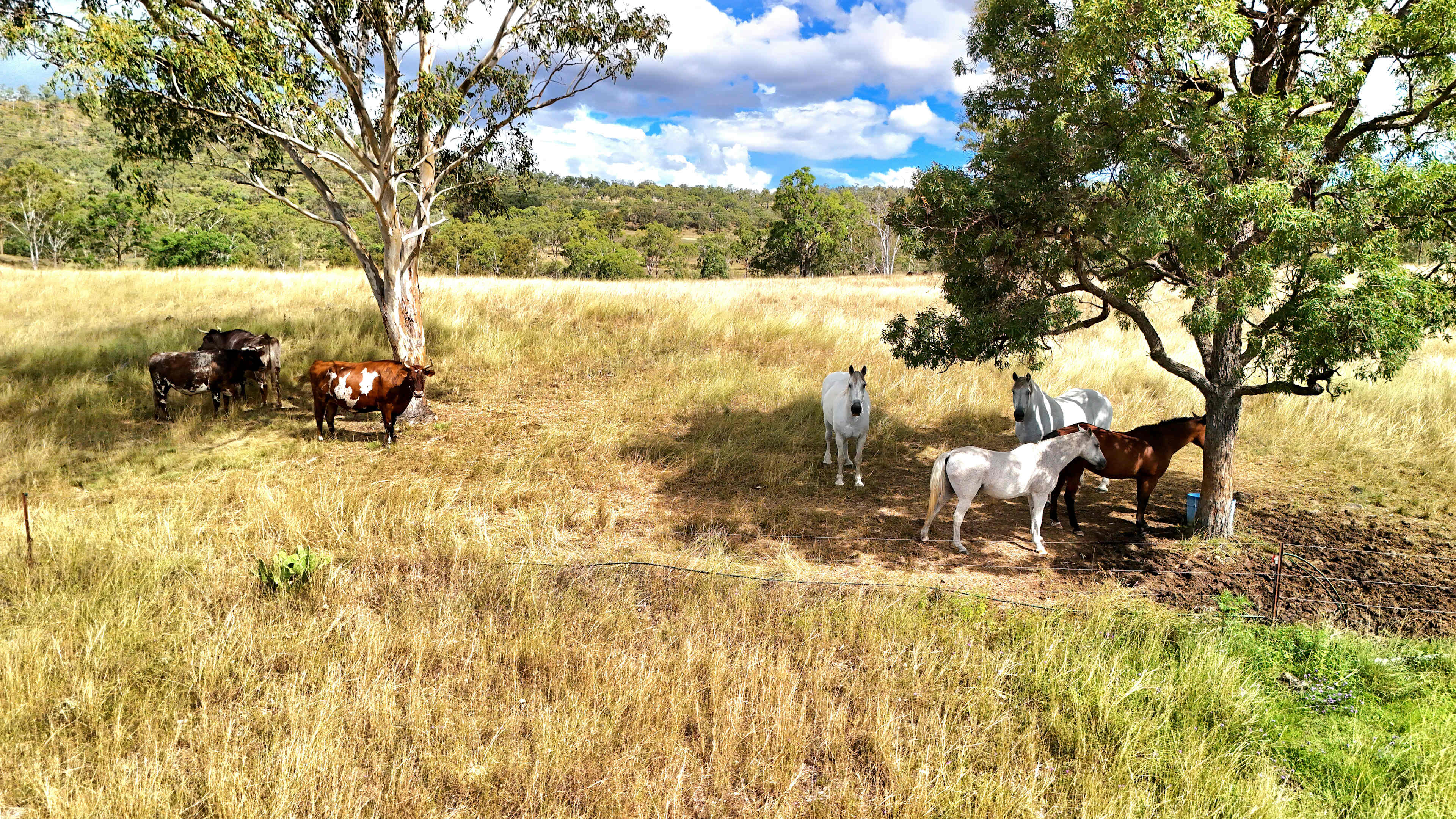 Gleneden Farm - Heritage Produce